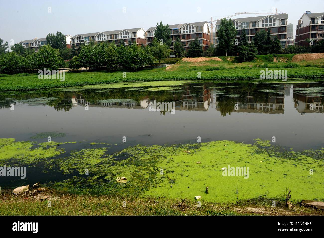 (150803) -- ZHENGZHOU, - Foto aufgenommen am 2. August 2015 zeigt den stark verschmutzten Jialu-Fluss in Zhengzhou, der zentralchinesischen Provinz Henan. Die Wassersysteme des Zhengzhou Xiliu Lake Park und des Jialu River wurden durch übermäßige industrielle Abwässer und sanitäres Abwasser, das stromaufwärts eingeleitet wurde, verschmutzt. ) (hgh) CHINA-HENAN-ZHENGZHOU-RIVER POLLUTION (CN) ZhuxXiang PUBLICATIONxNOTxINxCHN 150803 Zhengzhou Foto VOM 2. August 2015 zeigt, dass der stark verschmutzte Jialu-FLUSS im Zentral-chinesischen Wassersystem der Provinz S Henan des Zhengzhou Xiliu Lake Park und des Jialu-Flusses durch übermäßiges Industriee verschmutzt wurde Stockfoto