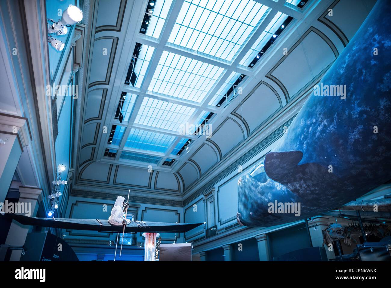 WASHINGTON DC, USA – eine spannende Ausstellung im Smithsonian's Natural History Museum zeigt eine reiche Geschichte unseres Planeten. Das Museum, ein Eckpfeiler der Kulturlandschaft von DC, informiert und inspiriert die Besucher mit seinen vielfältigen Sammlungen. Stockfoto