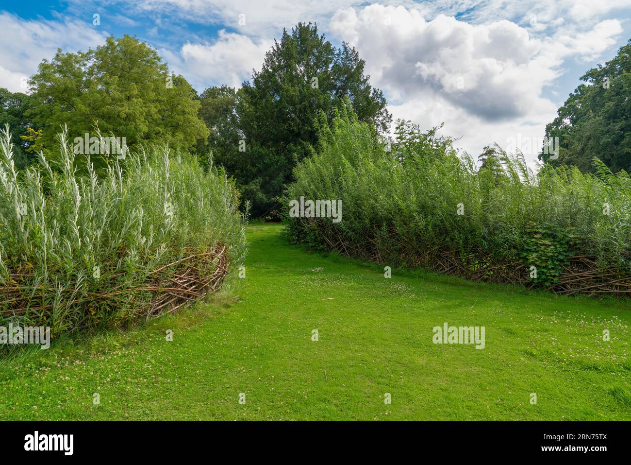 Grünes Gras und Bäume im belgischen Botanischen Garten in Meise (Pachthof in de nationale Plantentuin van België in Meise), Belgien Stockfoto