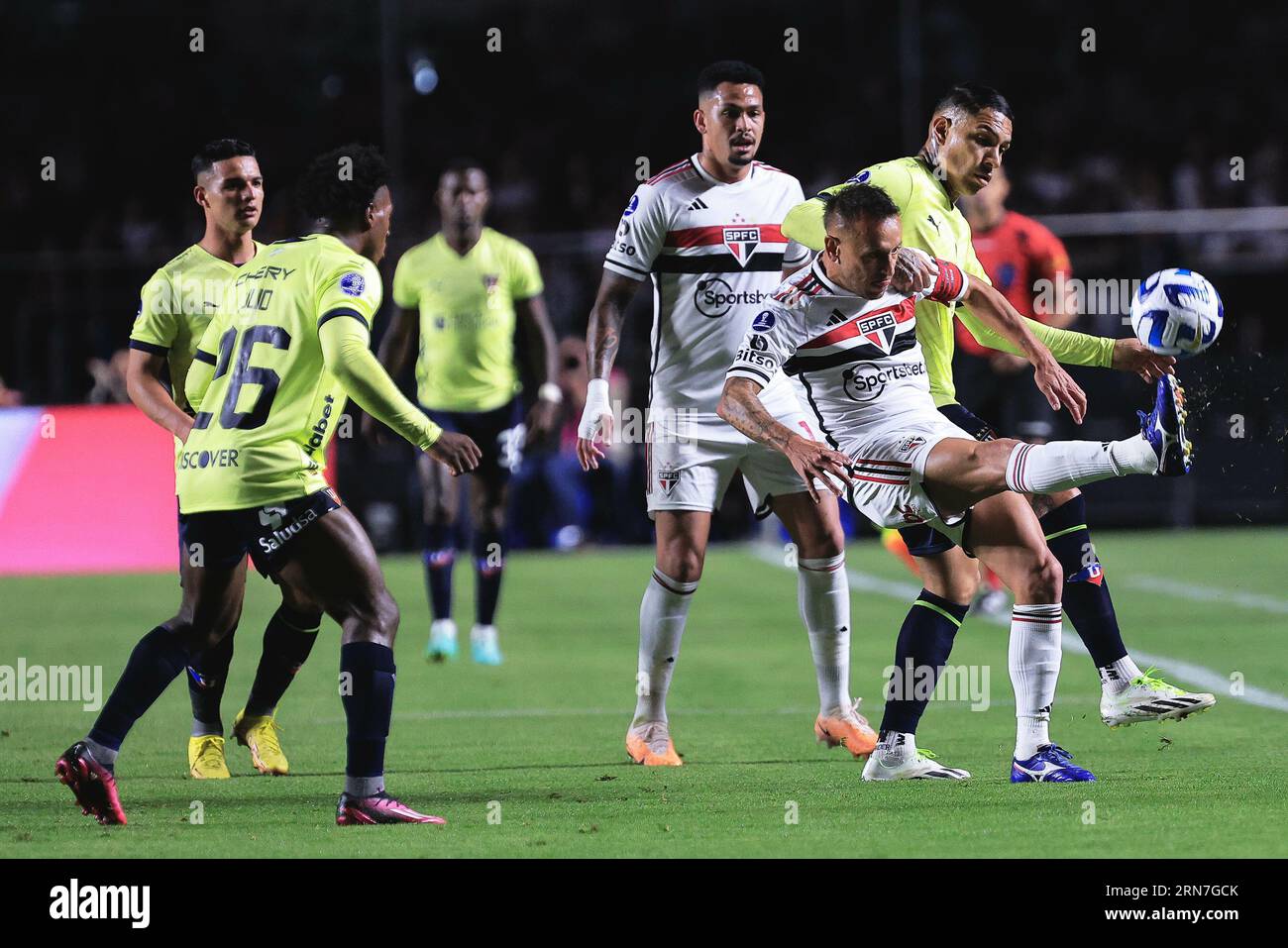 Sao Paulo, Brasilien. August 2023 31. SP - SAO PAULO - 08/31/2023 - COPA SUL-AMERICANA 2023, SAO PAULO X LDU - Rafinha Spieler aus Sao Paulo tritt mit Paolo Guerrero Spieler aus LDU während eines Spiels im Morumbi Stadion um die Copa Sudamericana 2023 Meisterschaft an. Foto: Ettore Chiereguini/AGIF/SIPA USA Credit: SIPA USA/Alamy Live News Stockfoto