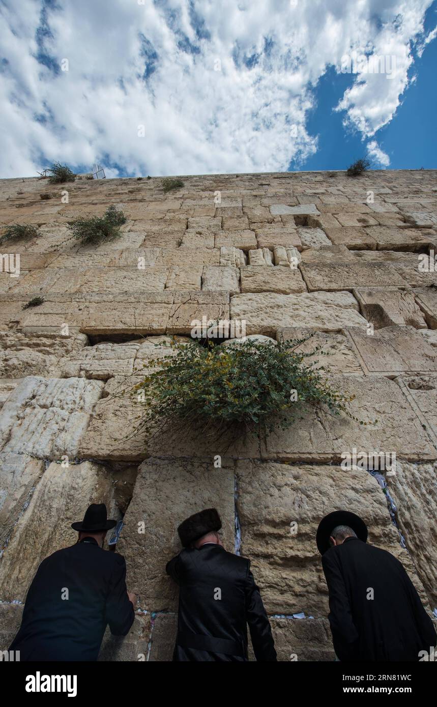 AKTUELLES ZEITGESCHEHEN Juden in Jerusalem feiern Sukkot, das Laubhüttenfest (150930) -- JERUSALEM, 30. September 2015 -- ultraorthodoxe jüdische Männer beten während des Sukkots an der Westmauer der Altstadt von Jerusalem, am 30. September 2015. Das Sukkot, das fest der Tabernakel, fällt vom Sonnenuntergang vom 27. September bis zum Sonnenuntergang vom 4. Oktober dieses Jahres, ist ein biblischer wochenlanger Urlaub, der an die 40 Jahre Reise in der Wüste nach dem Exodus von der Sklaverei in Ägypten erinnert. ) MIDEAST-JERUSALEM-westliche MAUER-SUKKOT-BETEN LixRui PUBLICATIONxNOTxINxCHN Nachrichten aktuelle Ereignisse Juden in Jerusalem feiern Sukkot das Hardwoo Stockfoto