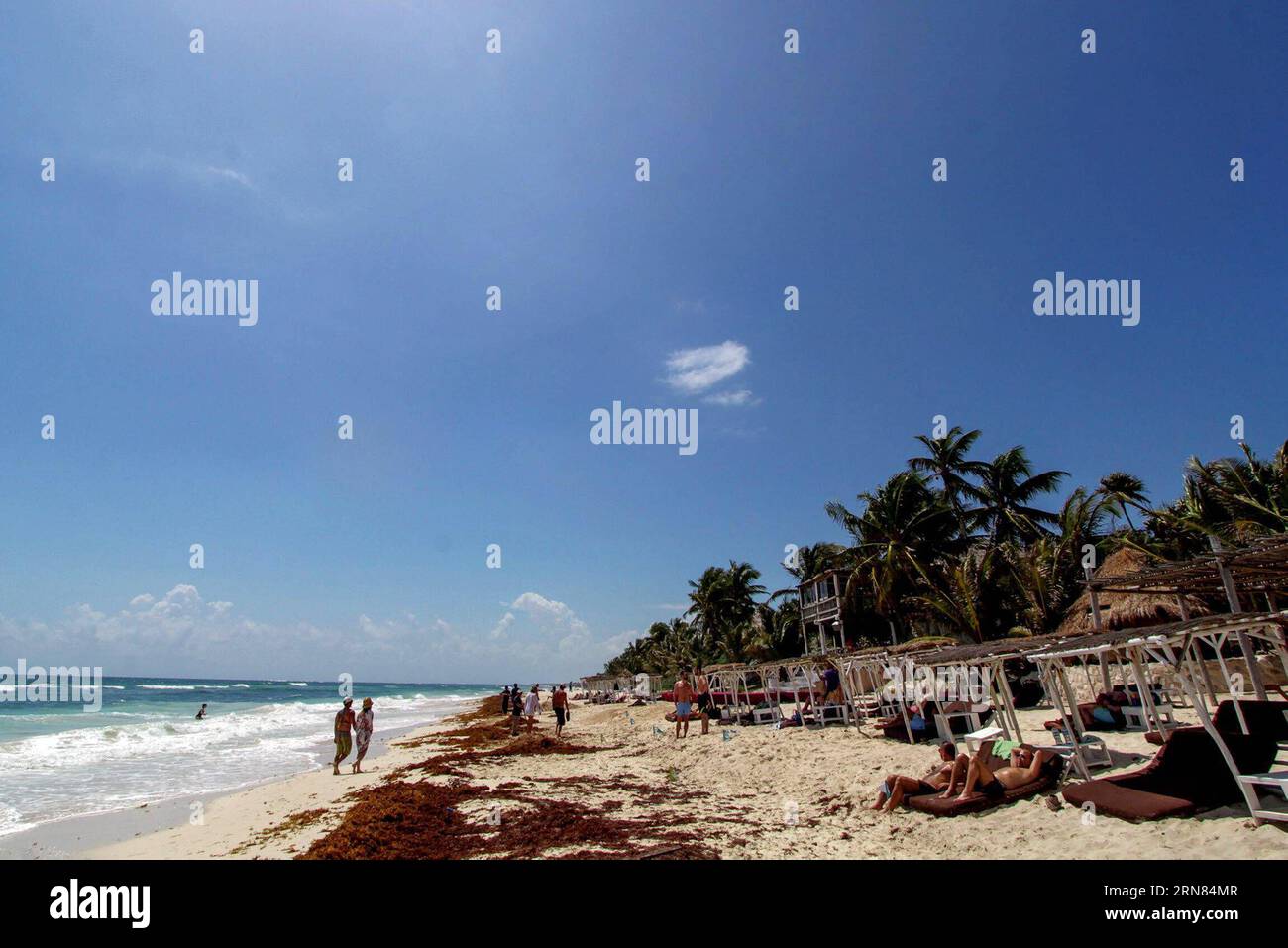 Touristen werden am 5. Oktober 2015 an einem Strand in Tulum, Quintana Roo, Mexiko, gesehen. Die Strände von Cancun und Tulum wurden 2015 in den World Travel Awards als das führende Strandziel Mexikos und Mittelamerikas nominiert. Francisco Galvez/) (da) (sp) (lrz) MEXIKO-TULUM STRANDTOURISMUS NOTIMEX PUBLICATIONxNOTxINxCHN Touristen sind Seen AN einem Strand in Tulum Quintana Roo Staat Mexiko AM 5. Oktober 2015 die Strände von Cancun und Tulum wurden als Mexiko und Mittelamerika führendes Strandziel 2015 bei den World Travel Awards Francisco Galvez nominiert dort SP lrz Mexiko Tulum Beach Tou Stockfoto
