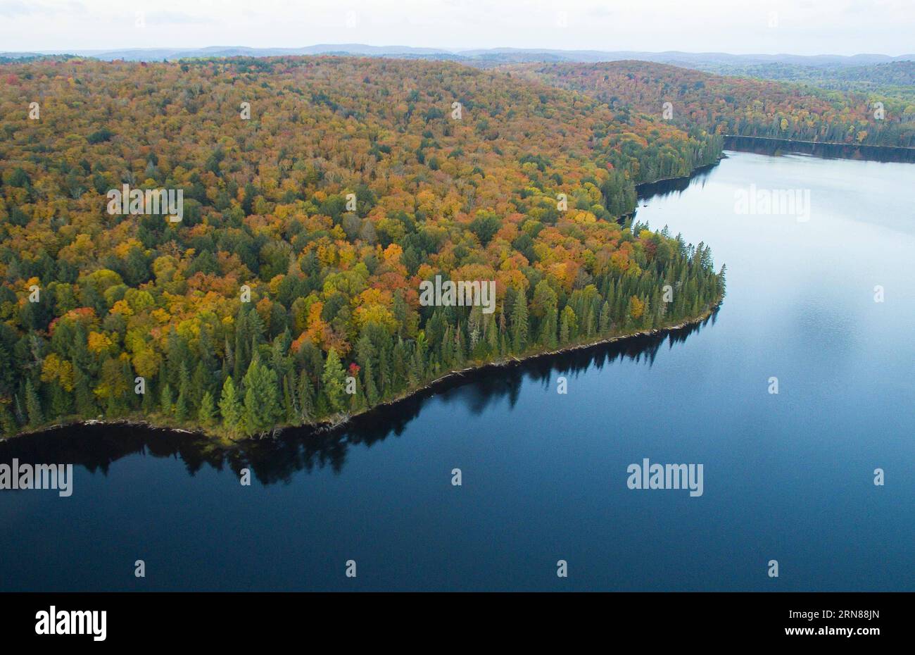 (151012) -- TORONTO, - Foto aufgenommen am 11. Oktober 2015 zeigt eine Herbstlandschaft in der Nähe des Highway 60 in Ontario, Kanada.) KANADA-TORONTO-HERBSTFARBEN ZouxZheng PUBLICATIONxNOTxINxCHN 151012 Toronto Foto aufgenommen AM 11. Oktober 2015 zeigt eine Falllandschaft in der Nähe von Highway 60 in Ontario Kanada Kanada Toronto Fallfarben ZouxZheng PUBLICATIONxNOTxINxCHN Stockfoto