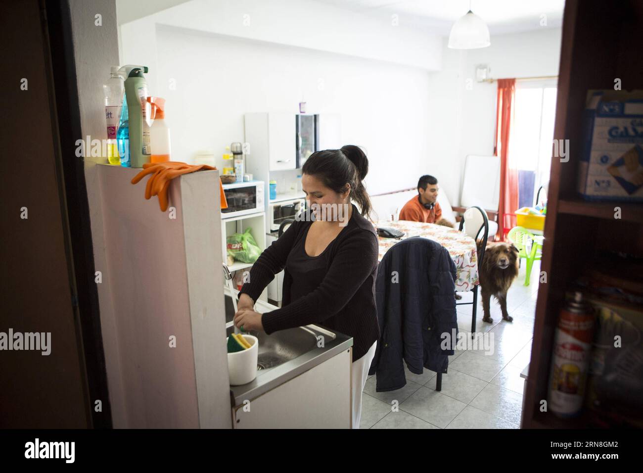 Bild aufgenommen am 17. Oktober 2015 von Irma Cabana (L), die ihr Geschirr in ihrer Wohnung reinigt, das sie mit ihren Kindern Gonzalo, Matias und Macarena teilt, und ihr Enkel Bautista in der Edificio Hernandarias 674, die von der Nichtregierungsorganisation Habitat for Humanity im Stadtteil La Boca in Buenos Aires, Argentinien, gebaut wurde. Irma ist Lehrerin in einer Schule und wurde im Rahmen des Projekts Alquileres Tutelados (Tutored Rentals) der Nichtregierungsorganisation Habitat for Humanity ausgewählt. Die Gründe, die Familien zwingen, in diesem Ort zu leben, sind die Anforderungen an die Miete im b Stockfoto Bild aufgenommen am 17. Oktober 2015 von Irma Cabana (L), die ihr Geschirr in ihrer Wohnung reinigt, das sie mit ihren Kindern Gonzalo, Matias und Macarena teilt, und ihr Enkel Bautista in der Edificio Hernandarias 674, die von der Nichtregierungsorganisation Habitat for Humanity im Stadtteil La Boca in Buenos Aires, Argentinien, gebaut wurde. Irma ist Lehrerin in einer Schule und wurde im Rahmen des Projekts Alquileres Tutelados (Tutored Rentals) der Nichtregierungsorganisation Habitat for Humanity ausgewählt. Die Gründe, die Familien zwingen, in diesem Ort zu leben, sind die Anforderungen an die Miete im b Stockfoto