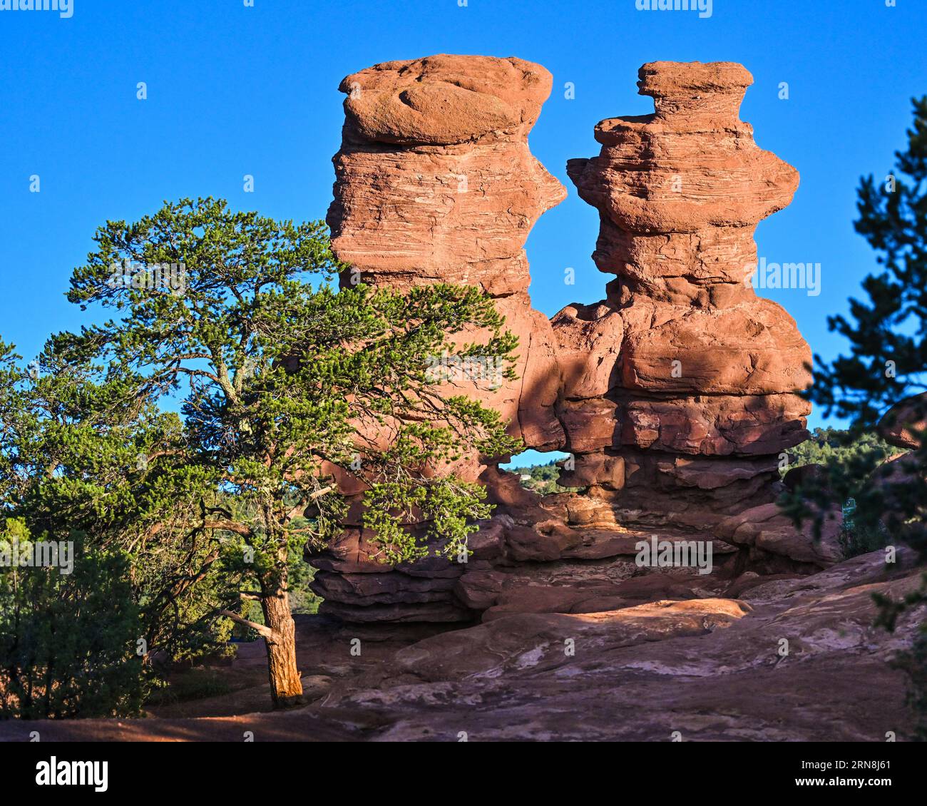Garden of the Gods Colorado - Colorado Springs State Park & National Natural Landmark - früher Red Rock Corral - geologische Felsformationen Stockfoto