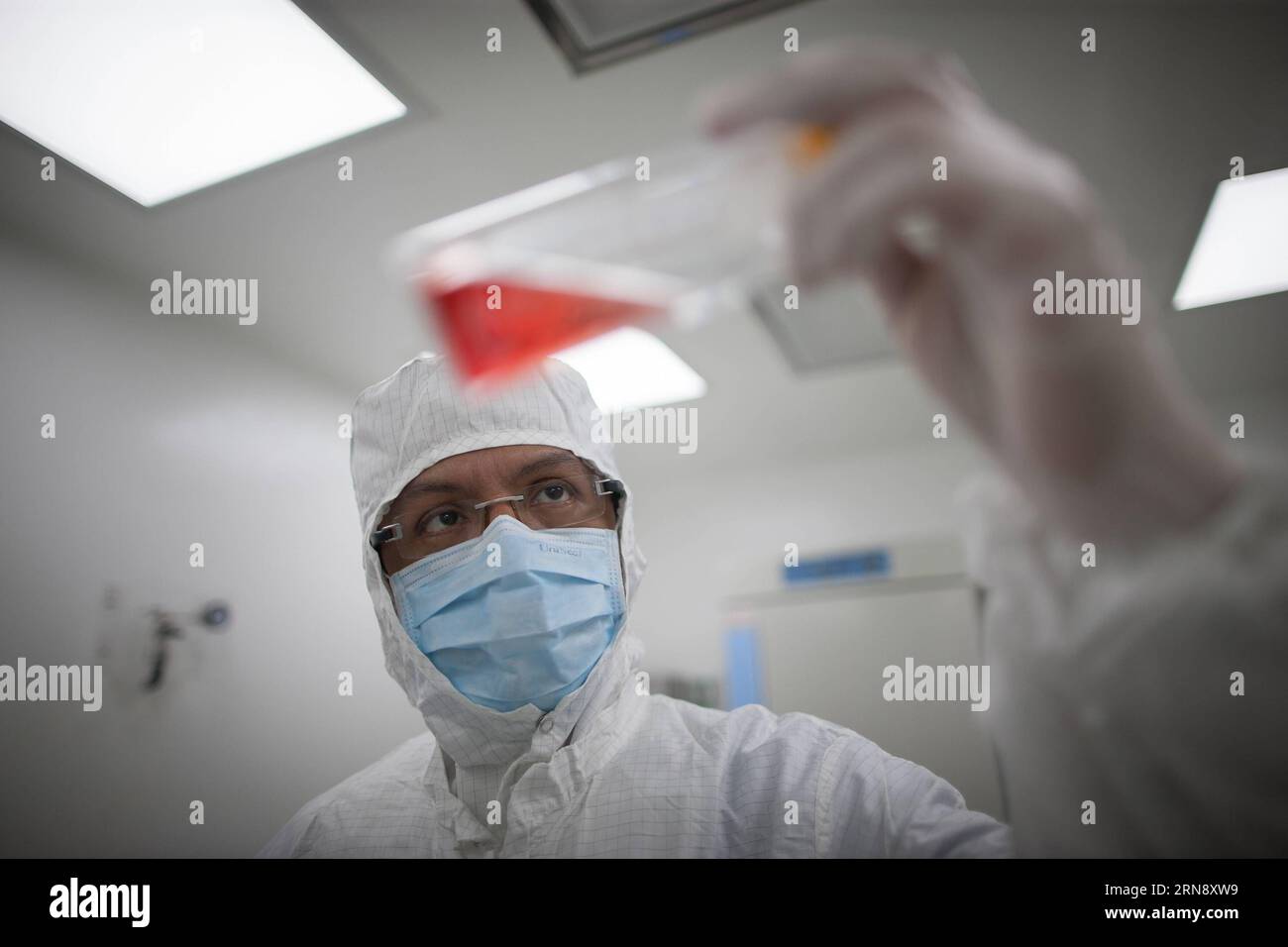 Das am 4. November 2015 aufgenommene Bild zeigt den Biologen Ricardo Rangel Martinez, operativen Direktor des Labors der Klinik Cambium Therapies, einem integralen Zentrum, das sich auf alternative regenerative Medizin in der fortgeschrittenen Zelltherapie spezialisiert hat, die Manipulation eines Behälters mit Stammzellkulturen in Mexiko-Stadt, der Hauptstadt Mexikos. Die Anwendung dieses Arzneimittels ermöglicht es dem Organismus, geschädigte Zellen für gesunde durch verschiedene Prozesse in bestimmten Geweben zu ersetzen , sagte Doktor Rafael Sandoval Leon, der in der Klinik Cambium Therapies arbeitet. Seine Verwendung hat sich aufgrund seiner Effizienz in Europa populär gemacht Stockfoto