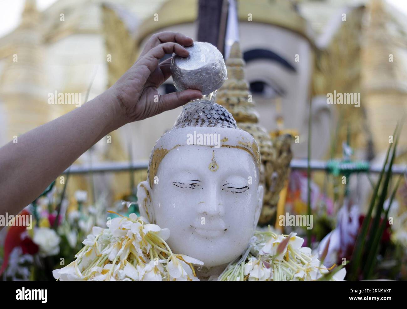 Ein Gläubiger gießt Wasser über eine Buddha-Statue auf Myanmars traditionellem Tazaungdaing-Festival in der Shwedagon-Pagode in Yangon, Myanmar, 26. November 2015. Das Tazaungdaing Festival, auch bekannt als das Festival der Lichter, das im achten Monat des traditionellen myanmarischen Kalenders auf den Vollmondtag fällt, wird als Nationalfeiertag in Myanmar gefeiert und markiert das Ende der Regenzeit. ) MYANMAR-YANGON-TAZAUNGDAING FESTIVAL UxAung PUBLICATIONxNOTxINxCHN ein Devotee gießt Wasser über eine Buddha-Statue AUF DEM traditionellen myanmarischen Tazaungdaing-Festival in der Shwedagon-Pagode in Yangon Myanmar, November 26 Stockfoto