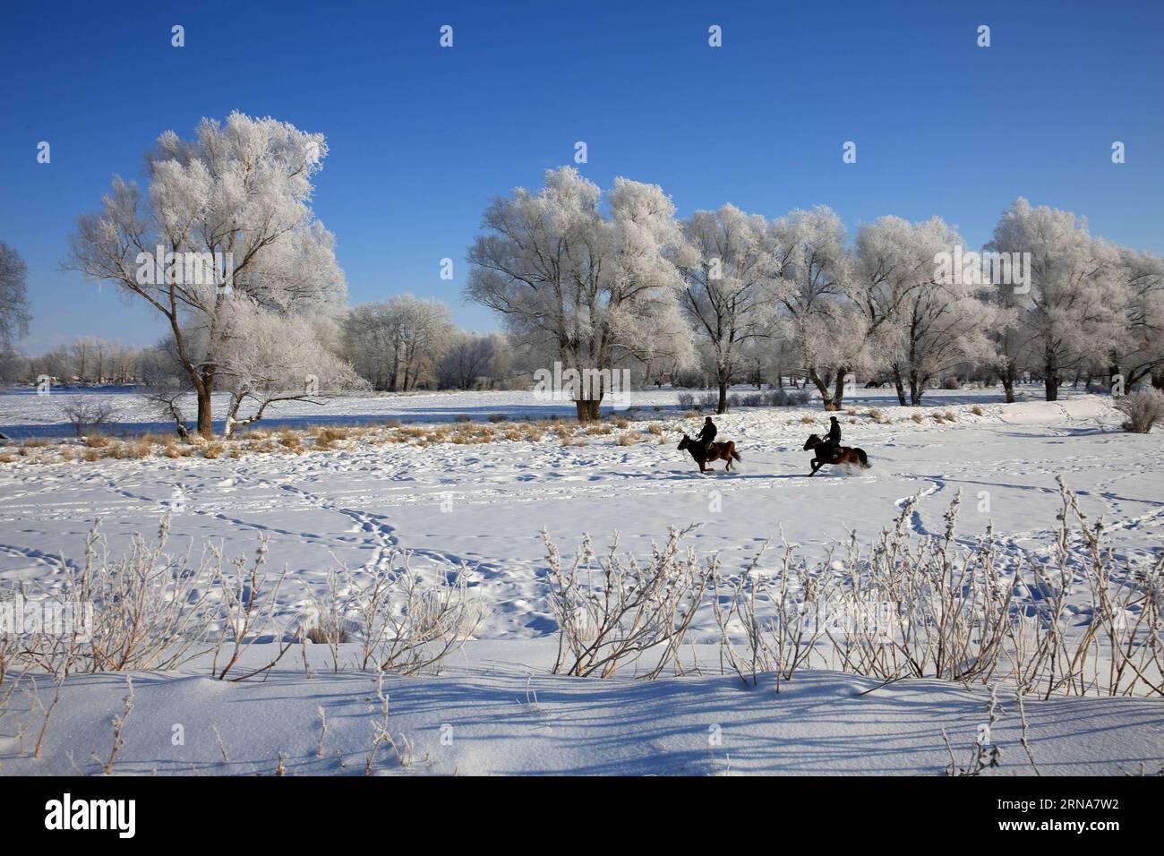 (160112) -- ALTAY, 11. Januar 2016 -- Foto aufgenommen am 11. Januar 2016 zeigt eine reizvolle Landschaft am Kiran River, Altay, nordwestchinesische Autonome Region Xinjiang Uygur. ) (Ry) CHINA-XINJIANG-ALTAY-RIME(CN) YexErjiang PUBLICATIONxNOTxINxCHN 160112 Altay Jan 11 2016 Foto aufgenommen AM 11. Januar 2016 zeigt die Landschaft des Kalbes neben dem Kiran-Fluss Altay Nordwest-China S Xinjiang Uygur Autonomous Region Ry China Xinjiang Altay Rime CN YexErjiang PUBLATIOxCHINxTxXXTxTxN Stockfoto