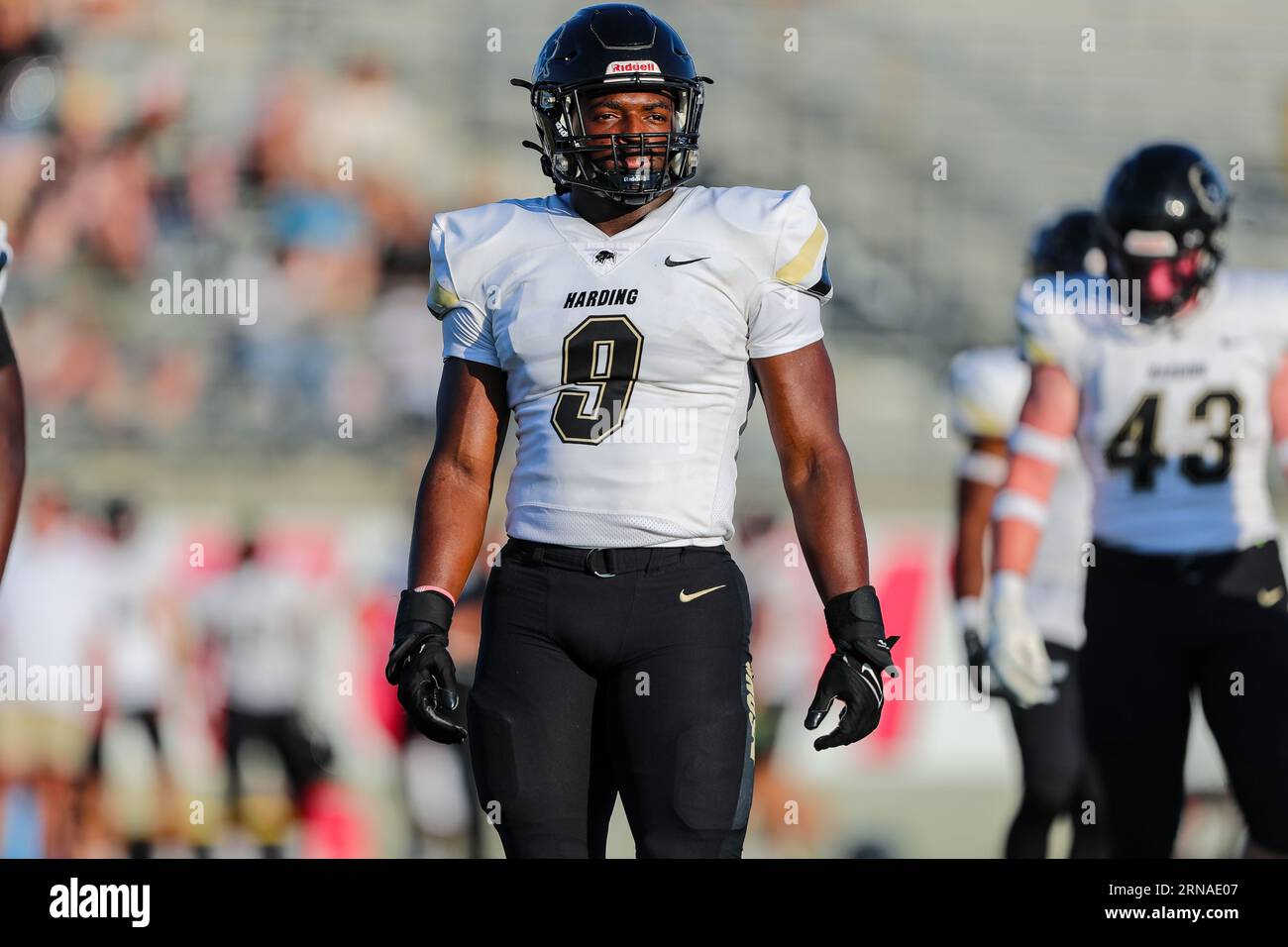 31. August 2023:.die Harding University Bison DL Dre Hall (9) blickt auf die Nebenmannschaft während des NCAA-Fußballspiels zwischen der Harding University Bison und dem Southern Nazarene University Crimson Storm im SNU-Stadion in Bethany, OK. Ron Lane/CSM Stockfoto