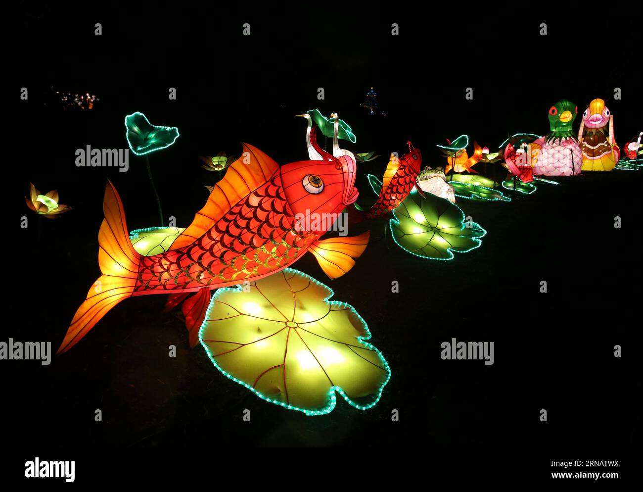 Bilder des Tages LONDON, 6. Februar 2016 -- Lichtinstallationen werden im Chiswick House and Gardens während des Magical Lantern Festivals in London, Großbritannien am 6. Februar 2016 gesehen. Die Laternen wurden aus China gebracht, um das chinesische Neujahr und das Jahr des Affen zu feiern. Bis zum 6. März sind Hunderte von riesigen beleuchteten Laternen ausgestellt. ) GROSSBRITANNIEN-LONDON-MAGICAL LATERNEN FESTIVAL HanxYan PUBLICATIONxNOTxINxCHN Images The Day London Feb 6 2016 Lichtinstallationen sind Seen in Chiswick House and Gardens während des Magical Laternen Festivals in London Großbritannien AM 6. Februar 2016 die Laternen Stockfoto