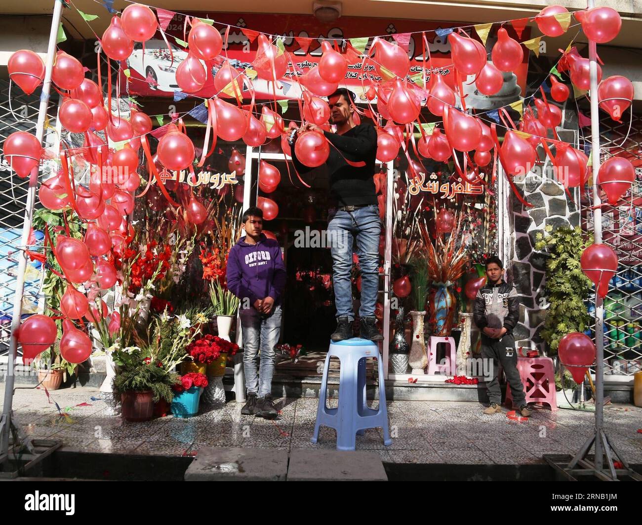 (160214) -- KABUL, 14. Februar 2016 -- ein afghanischer Mann arrangiert Ballons in einem Geschäft am Valentinstag in Kabul, Hauptstadt Afghanistans, 14. Februar 2016. Traditionell sind die meisten Afghanen dem Valentinstag nicht bewusst, aber einige Jugendliche feiern den Tag, indem sie Blumen an ihre Lieben schicken. ) (azp) AFGHANISTAN-KABUL-VALENTINE S DAY RahmatxAlizadah PUBLICATIONxNOTxINxCHN Kabul 14. Februar 2016 To Afghan man arrangiert Ballons in einem Shop AM Valentine S Day in Kabul Hauptstadt von Afghanistan 14. Februar 2016 traditionell kennen die meisten Afghanen den Valentinstag nicht Stockfoto