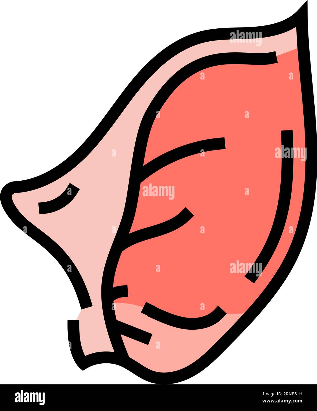 Vektor-Illustration des Tierfarbsymbols des Ohrschweins Stock Vektor