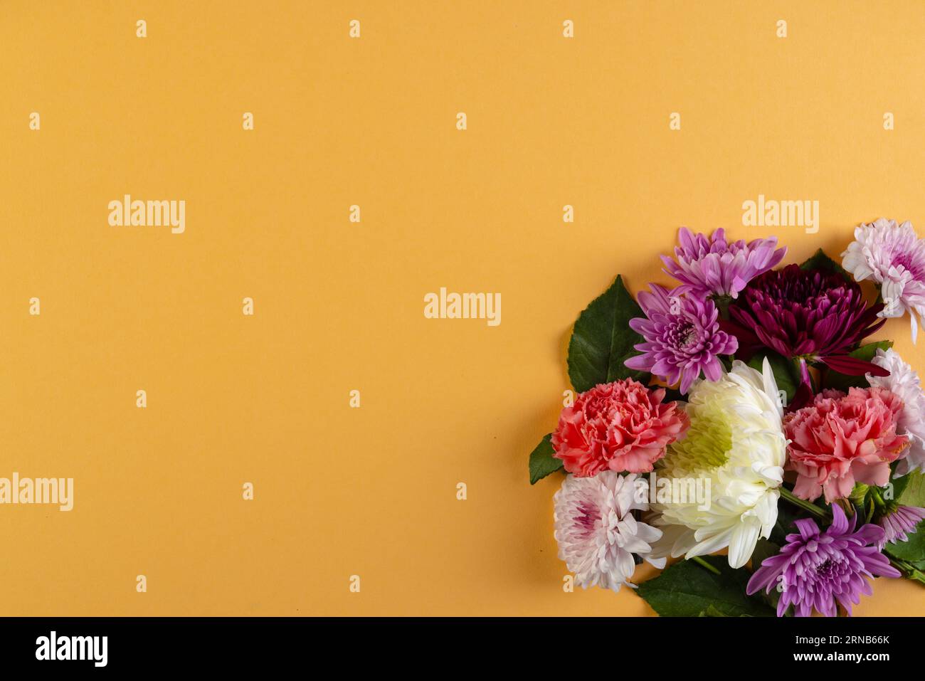Weiße, rosafarbene und violette Blumen und Kopierraum auf orangefarbenem Hintergrund Stockfoto