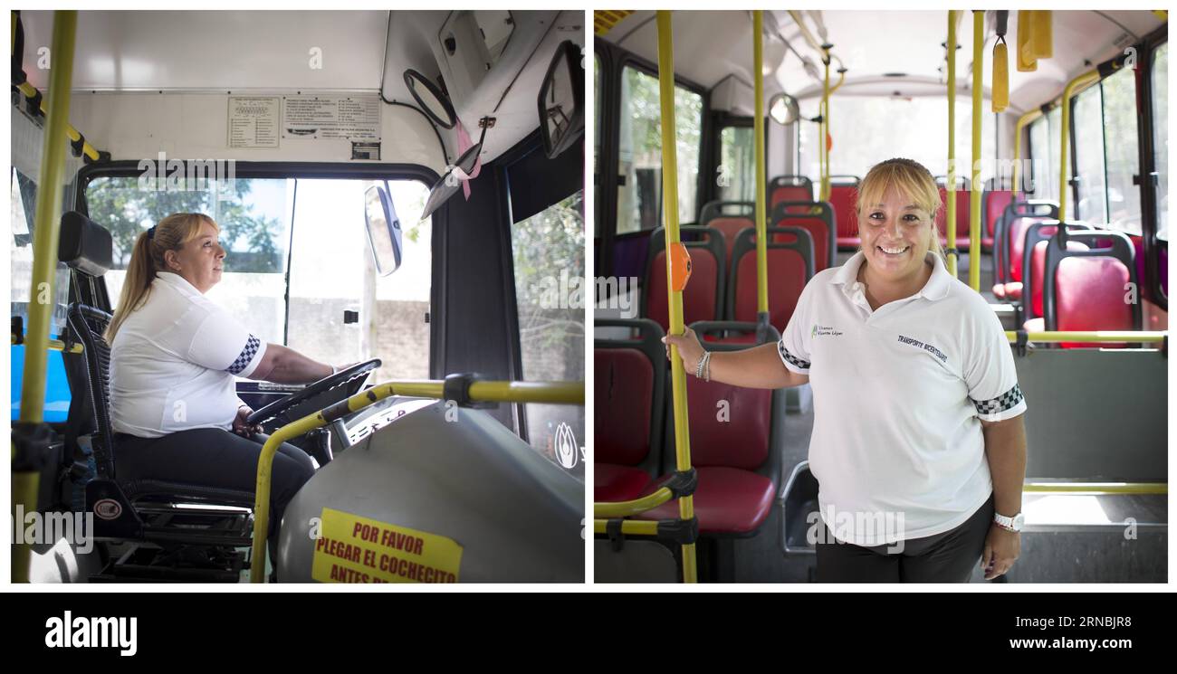(160308) -- BUENOS AIRES, 8. März 2016 -- kombinierte Aufnahme am 3. März 2016 zeigt Susana Enriquez, die in einem städtischen Personenbus in Florida, 20 km von Buenos Aires, Argentinien, fährt (L) und posiert (R). Susana ist Fahrerin der Firma Transportes Urbanos del Bicentenario. Susana sagt, sie liebt ihren Job und sie fährt gerne mit Passagieren, die sie jedes Mal mit ihrem traditionellen Guten Tag begrüßt, wenn sie an Bord ihrer Einheit gehen. Susy hat einen 13-jährigen Sohn, der sie auf einigen ihrer Routen begleitet, wann immer er kann. Susana Enriquez sagt, dass Passagiere ca. Stockfoto