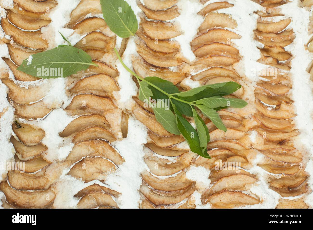 Apfelkuchen. Minze in Apfelkuchen. Leckeres Gebäck. Stockfoto