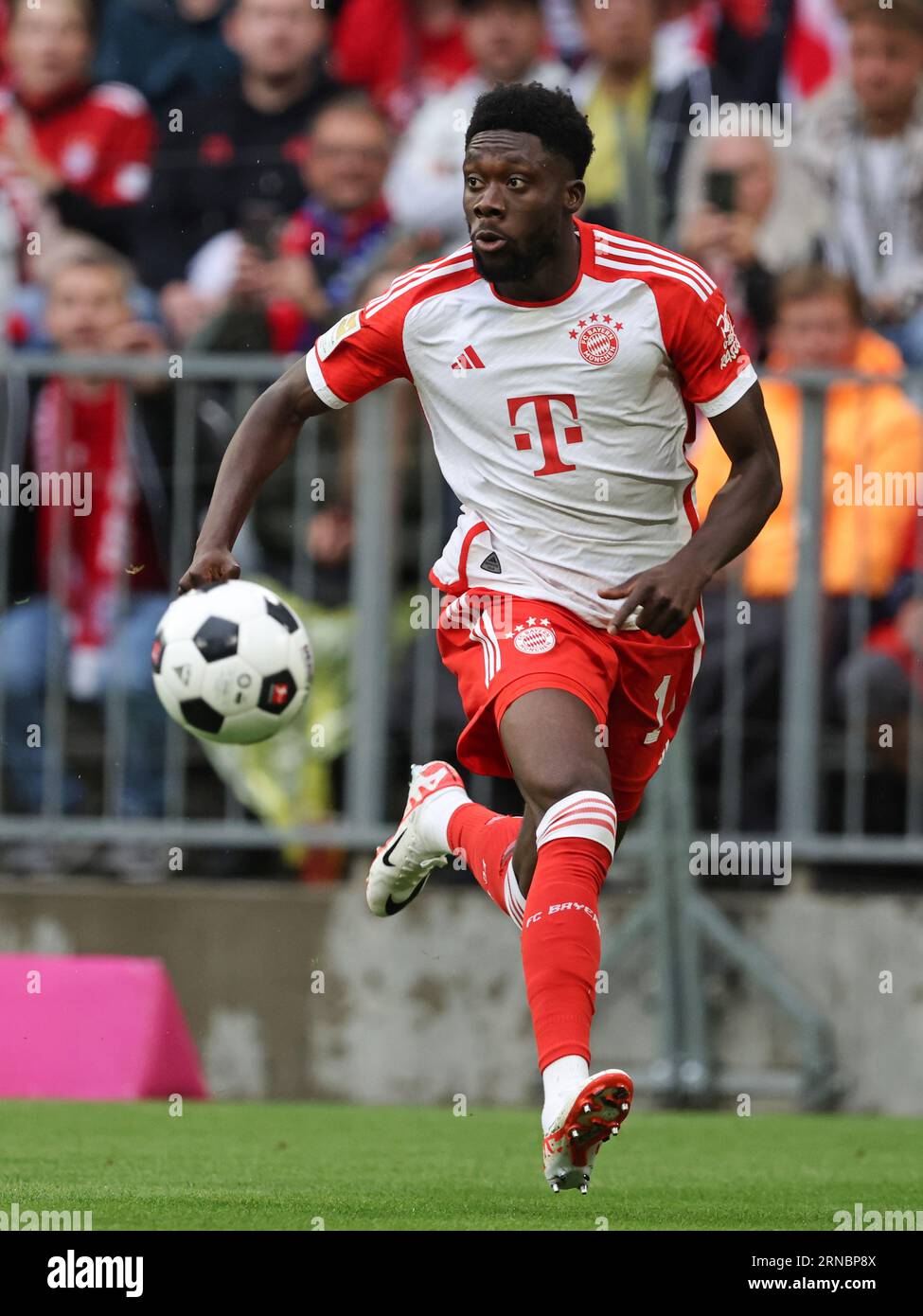 Alphonso Davies von Bayern München FC Bayern München - FC Augsburg 27.8.2023 Fussball 1 . Bundesliga Saison 2023/2024 © diebilderwelt / Alamy Stock Stockfoto