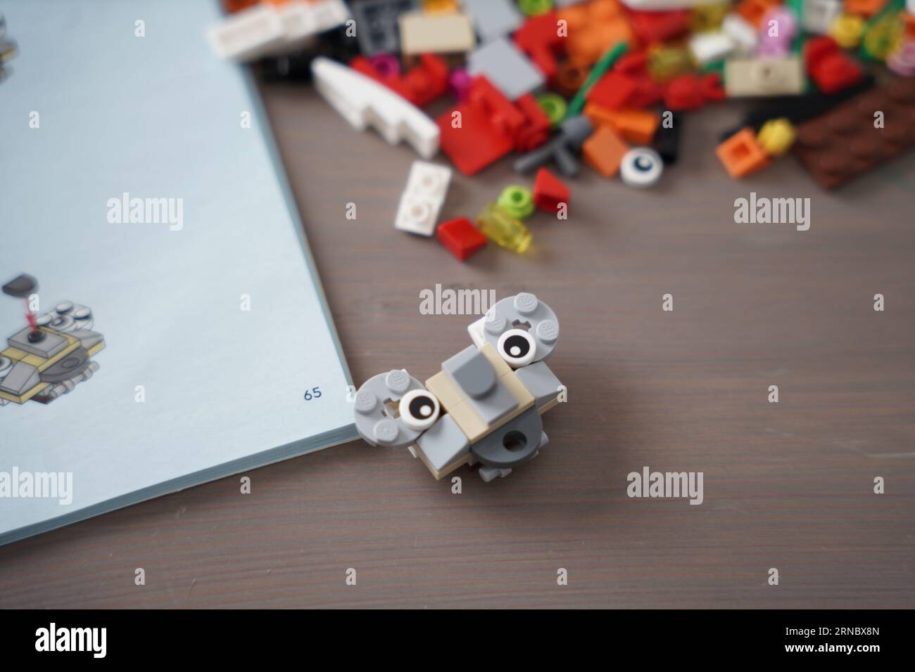 Legos-Katalog für den Bau von Legos. lego-Tiere, Koala-Legos-Kopf, von einer Person gebaut. Stockfoto