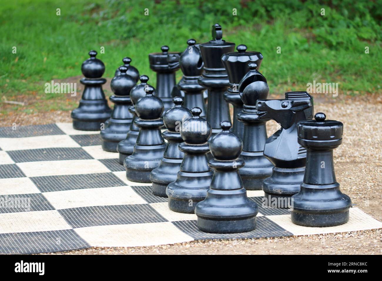 Riesige schwarze Schach-Sets auf einem Brett mit einem verschwommenen Hintergrund aus Sträuchern. Stockfoto