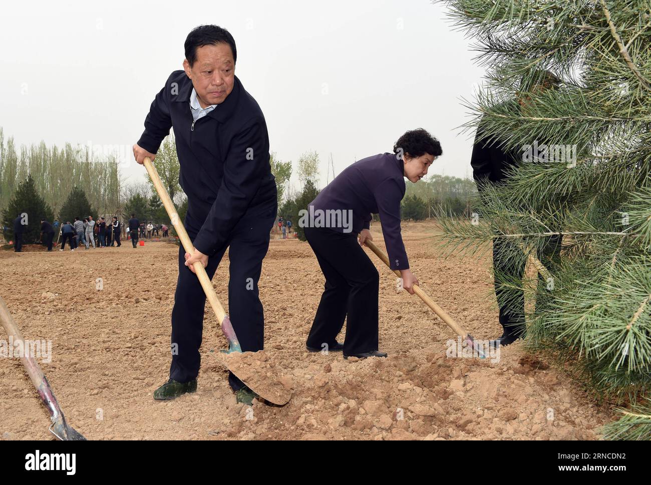 (160406) -- PEKING, 6. April 2016 -- Liu Xiaofeng (L), stellvertretender Vorsitzender des Nationalen Komitees der Politischen Konsultativkonferenz des chinesischen Volkes (CPPCC), nimmt am 6. April 2016 an einer Baumpflanzveranstaltung im Bezirk Chaoyang in Peking, der Hauptstadt Chinas, Teil. Die stellvertretenden Vorsitzenden des CPPCC Zhang Qingli, Li Haifeng, Chen Yuan, Wang Zhengwei, Ma Biao und Liu Xiaofeng nahmen am Mittwoch an einer freiwilligen Baumpflanzung in Peking Teil. ) (Zkr) CHINA-PEKING-CPPCC-BAUMPFLANZUNG (CN) ZhangxLing PUBLICATIONxNOTxINxCHN Peking 6. April 2016 Liu Xiao Feng l Stellvertretender Vorsitzender des Nationalen Komitees der Chinesischen Republik Kongo Stockfoto