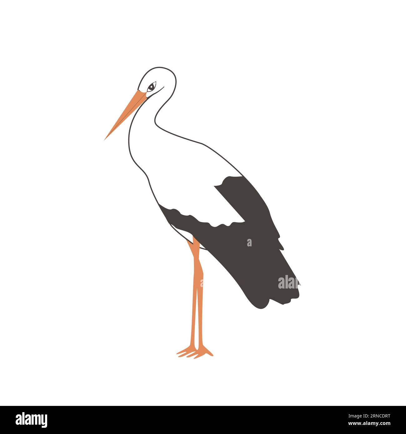 Stehender Storchenvogel isoliert auf weißem Hintergrund. Vogelcartoon oder flache Icon Vektor-Illustration Stock Vektor
