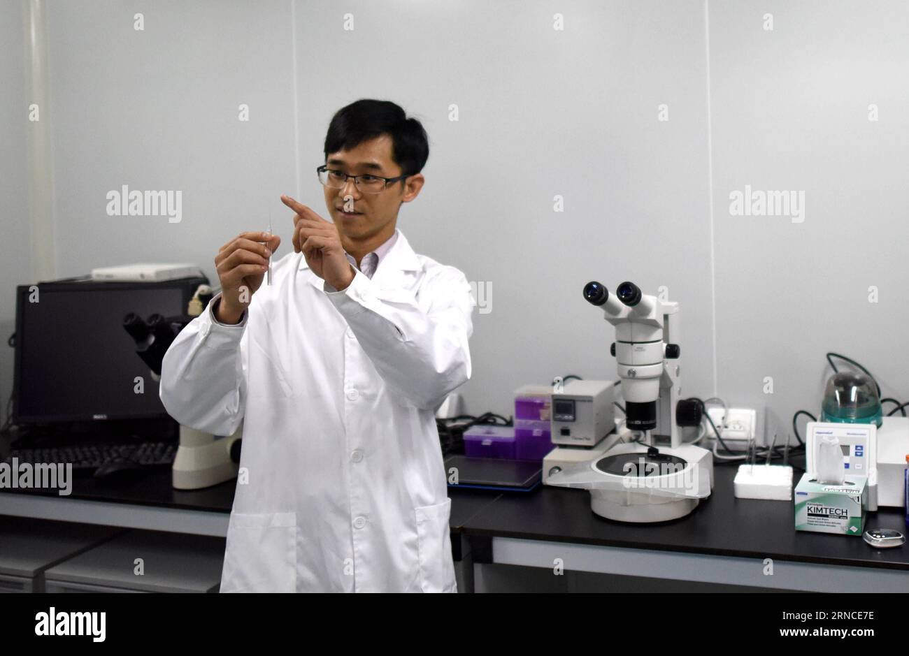 (160407) -- GUANGZHOU, 7. April 2016 -- Associate Prefessor Huang Junjiu, auch ein Genfunktionsforscher, macht Experimente an der Sun Yat-sen Universität in Guangzhou, Hauptstadt der südchinesischen Provinz Guangdong, 2. April 2016. Im April 2015 veröffentlichte der Biologe Huang Junjiu den ersten Bericht über einen menschlichen Embryo mit bearbeiteten Genen, der eine globale Debatte über die Ethik dieser Forschung auslöste. In seiner Studie benutzten Huang und sein Team Ersatzembryonen aus Fruchtbarkeitskliniken, die nicht zu einer Lebendgeburt fortschreiten konnten, und modifizierten das Gen, das für eine Art Blutstörung verantwortlich ist, in den Embryonen. Um das zu erreichen Stockfoto