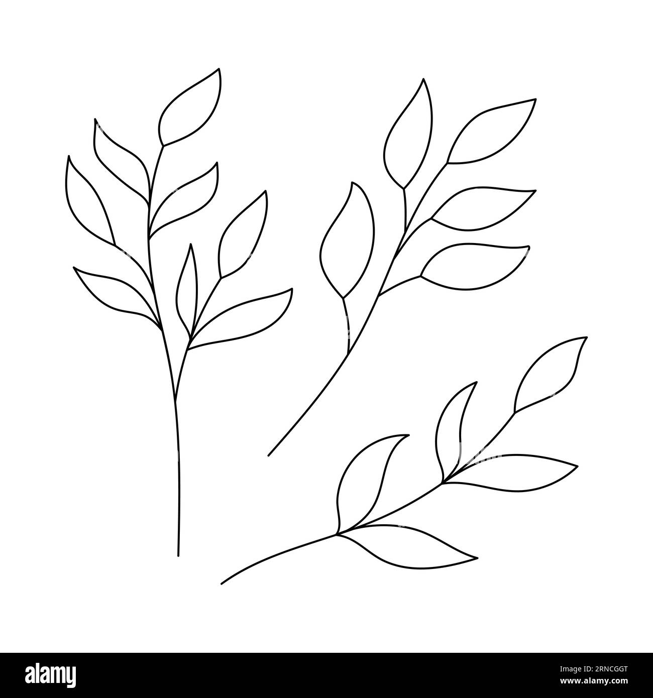 Von Hand gezeichnete einfache Umrisszweige mit Blättern. Botanische dekorative Elemente. Schwarz-weiß-Doodle-Vektor-Illustration isoliert auf weißem Hintergrund Stock Vektor