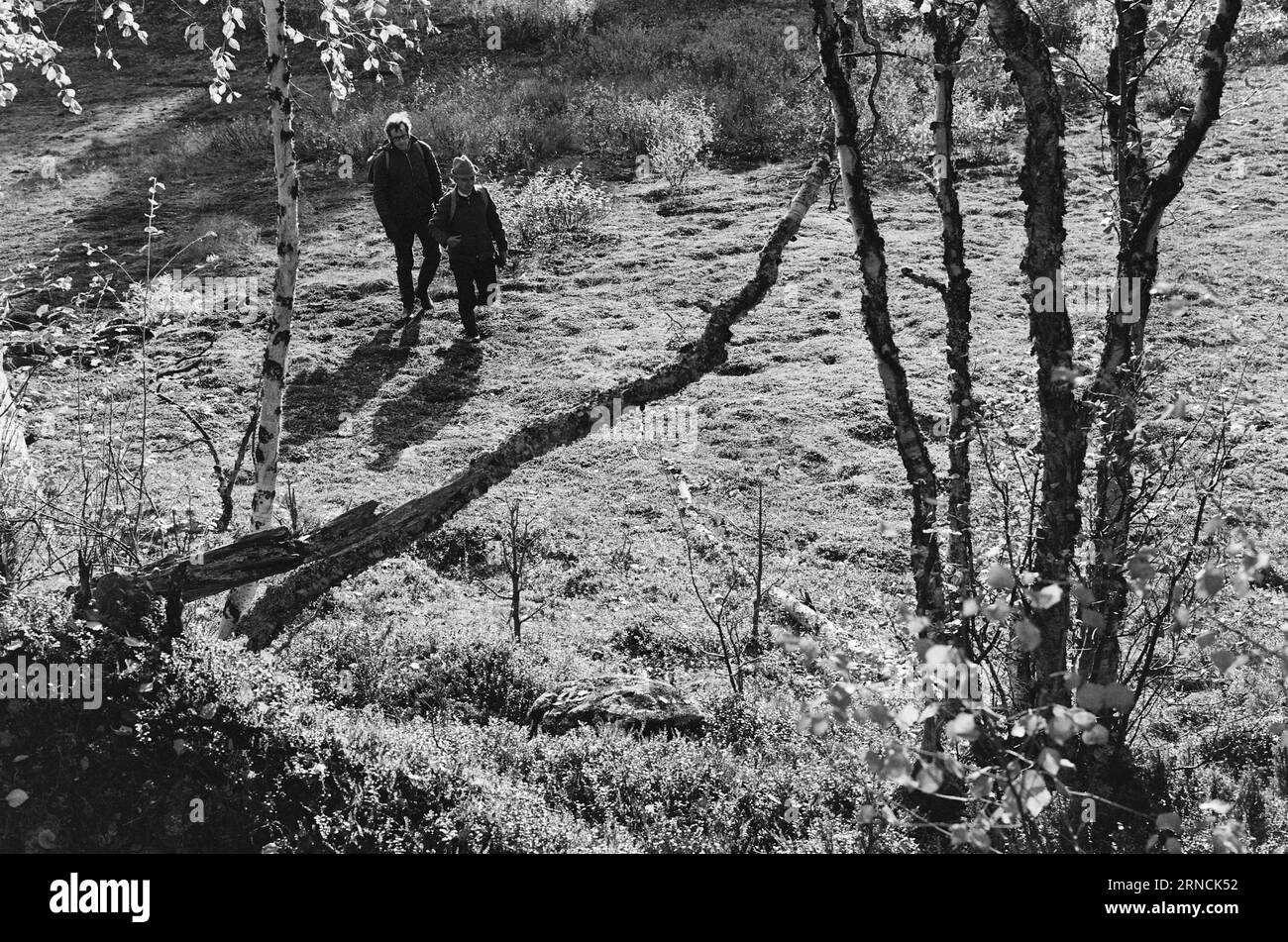 Aktuell 52-1-1973: Die letzte große WildnessWho gewinnt? Naturschutz oder Industrie? Sie befinden sich jetzt im Krieg über 1.150 Quadratkilometer Wildnis auf der Finnmarksvidda. Es ist das letzte Refugium der großen Wildtiere. Aber Falconbridge glaubt, dass es Nickel unter dem Moos gibt. Es könnte den Plan des Umweltministeriums ändern: Das Gebiet Anarjokka als Nationalpark. Das Gebiet grenzt an Finnland, und auf finnischer Seite ist es Finnlands größter Nationalpark. Insgesamt wird es ein sehr geschütztes Land sein. Foto: Aage Storløkken / aktuell / NTB ***FOTO NICHT VERARBEITET*** Thi Stockfoto