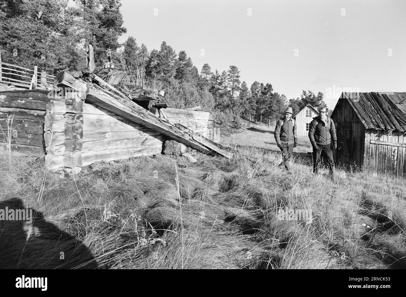 Aktuell 52-1-1973: Die letzte große WildnessWho gewinnt? Naturschutz oder Industrie? Sie befinden sich jetzt im Krieg über 1.150 Quadratkilometer Wildnis auf der Finnmarksvidda. Es ist das letzte Refugium der großen Wildtiere. Die Falconbridge glaubt, dass unter dem Moos Nickel ist. Es könnte den Plan des Umweltministeriums ändern: Das Gebiet Anarjokka als Nationalpark. Das Gebiet grenzt an Finnland, und auf finnischer Seite ist es Finnlands größter Nationalpark. Insgesamt wird es ein sehr geschütztes Land sein. Der letzte Außenposten vor dem Ödland verrottet. Das gibt es nicht mehr Stockfoto