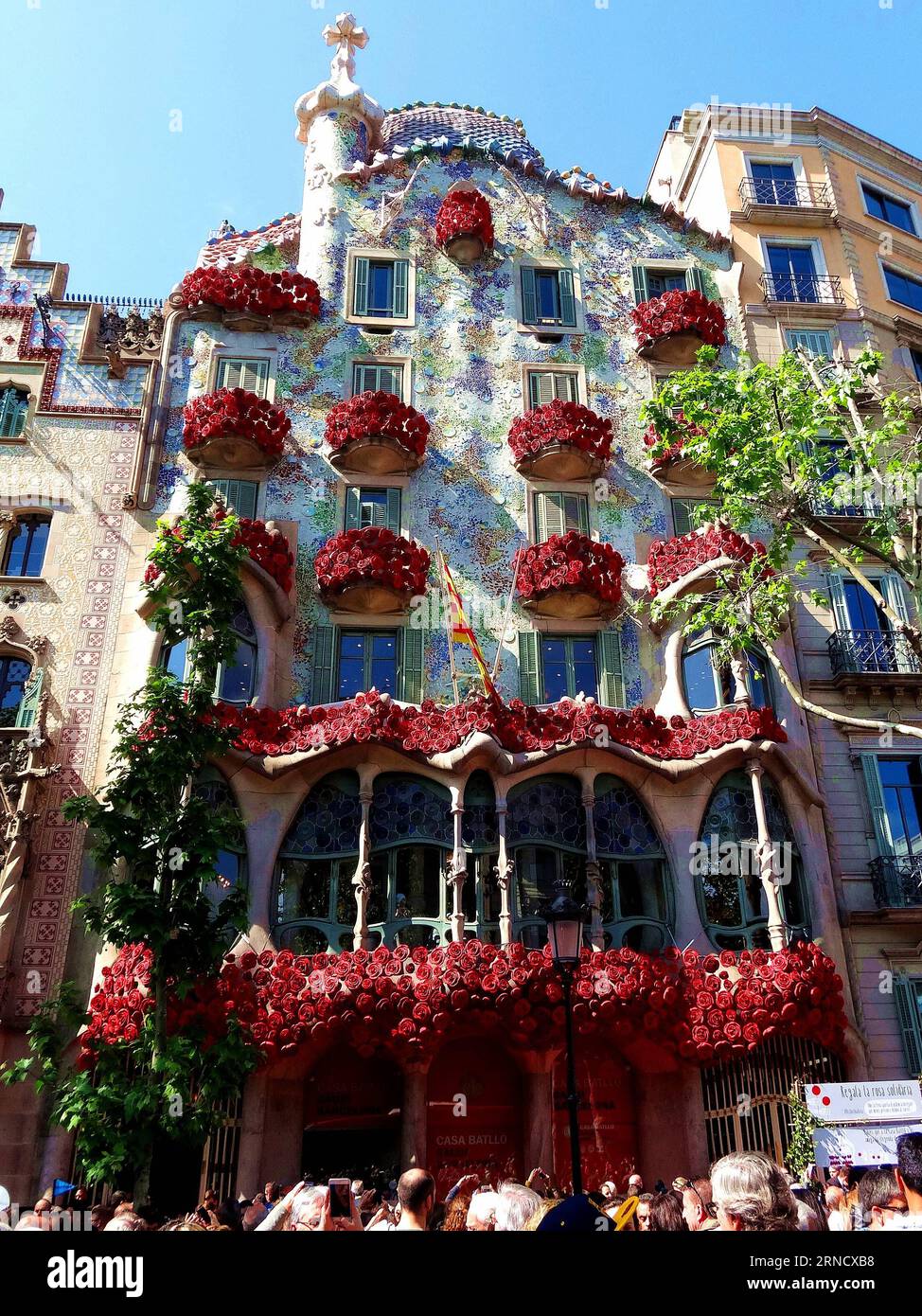 Das Casa Batllo, ein berühmtes Gebäude im spanischen Barcelona, das vom modernistischen Architekten Antoni Gaudi entworfen wurde, ist am 23. April 2016 auf den Balkonen in Barcelona, Spanien, mit Rosen verziert. Die Balkone der Casa Batllo waren am Samstag voller Rosen, um den Tag von Sant Jordi, dem Schutzpatron Kataloniens, zu feiern. Sant Jordi fällt mit dem Internationalen Buchtag zusammen und in diesem Jahr ist es der 400. Todestag von drei großen Schriftstellern der Weltliteratur, Spaniens Miguel de Cervantes, Großbritanniens William Shakespeare und Chinas Tang Xianzu. In Katalonien wird der 23. April wegen des le mit Rosen und Büchern in Verbindung gebracht Stockfoto