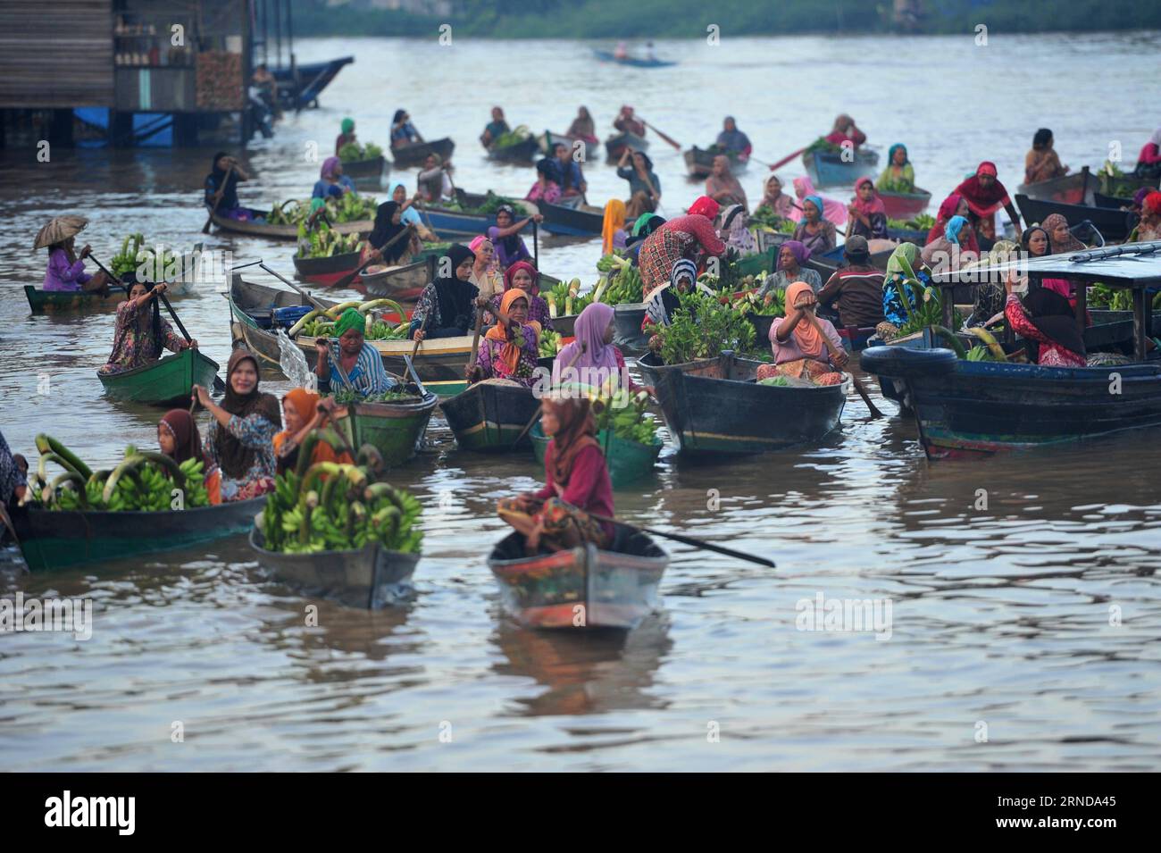 (160512) -- SÜDKALIMANTAN, 12. Mai 2016 -- indonesische Frauen in Holzbooten verkaufen frisches Obst und Gemüse auf dem schwimmenden Markt Lok Baintan in Banjar, Provinz Südkalimantan, Indonesien, 12. Mai 2016. ) INDONESIEN-SÜD-KALIMANTAN-SCHWIMMENDER MARKT Zulkarnain PUBLICATIONxNOTxINxCHN 160512 Süd-KALIMANTAN 12. Mai 2016 indonesische Frauen in Holzbooten verkaufen frisches Obst und Gemüse AUF dem Lok Floating Market in Banjar Süd-Kalimantan Provinz Indonesien 12. Mai 2016 Indonesien Süd-Kalimantan Floating Market Zulkarnain PUBLICATIONxNOTxINxCHN Stockfoto