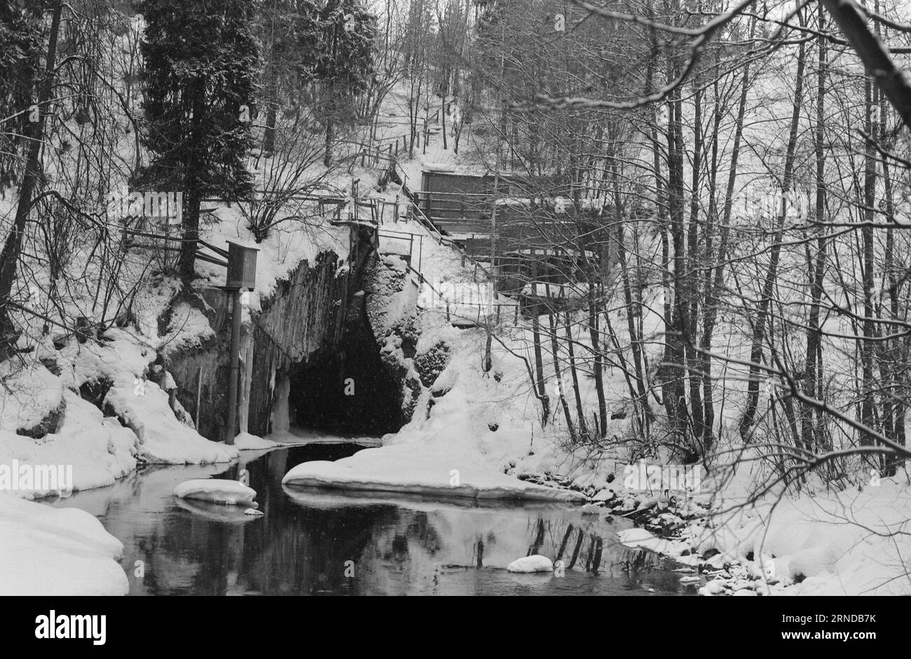 Heute 03 - 3 - 1974: Sie fanden ihren Platz vor zwölf Jahren zogen John und Pål von der Stadt bis zum Fluss. Die Stadt wurde ihnen zu schwer. Sie bauten sich in den Skauen Hütten und bekamen dafür ein Angelbecken und einen Badeplatz. Die beiden alten Menschen haben ein unangenehmes Leben geführt, aber jetzt haben sie einen Ort gefunden, wo Frieden herrscht und sie können ihre eigenen Herren sein. Sie leben von doppelter kommunaler Gnade. Die Kabine befindet sich an der Grenze zwischen Oslo und Bærum. Sie sammeln Wasser in einem Eimer direkt aus der Lysakerelva. Ein schönes Leben, denken beide. Foto: Ivar Aaserud / Aktuell Stockfoto