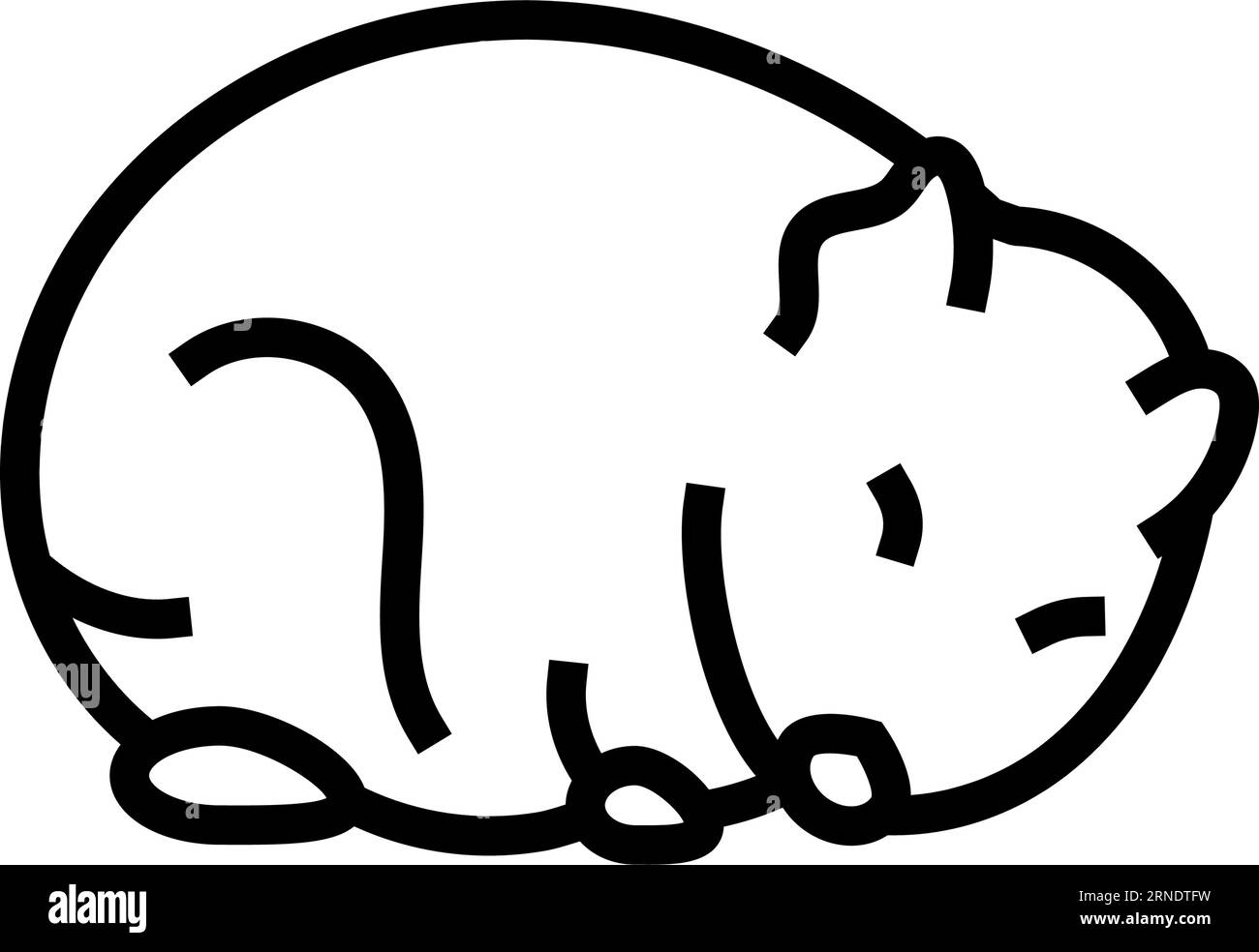 Hamster schlafende Haustier Linie Symbol Vektor Illustration Stock Vektor