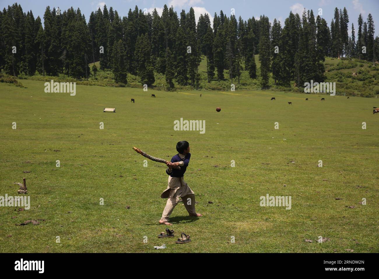 (160531) -- SRINAGAR, 31. Mai 2016 -- Ein nomadischer Junge spielt Cricket im Doodhpathri Valley, wo seine Familie sich für die Sommersaison zum Weiden im indischen kontrollierten Kaschmir-am 29. Mai 2016 niederließ. ) KASHIMIR-SRINAGAR-NOMAD CHILDREN-DAILY LIVES JavedxDar PUBLICATIONxNOTxINxCHN 160531 Srinagar Mai 31 2016 ein Nomad Boy SPIELT Cricket AT Valley, wo seine Familie sich für die Sommersaison für die Weide im indischen kontrollierten Kaschmir AM 29 2016. Mai niederließ KASHIMIR Srinagar Nomad Children Daily Lives JavedxDar PUBLICTINxN Stockfoto