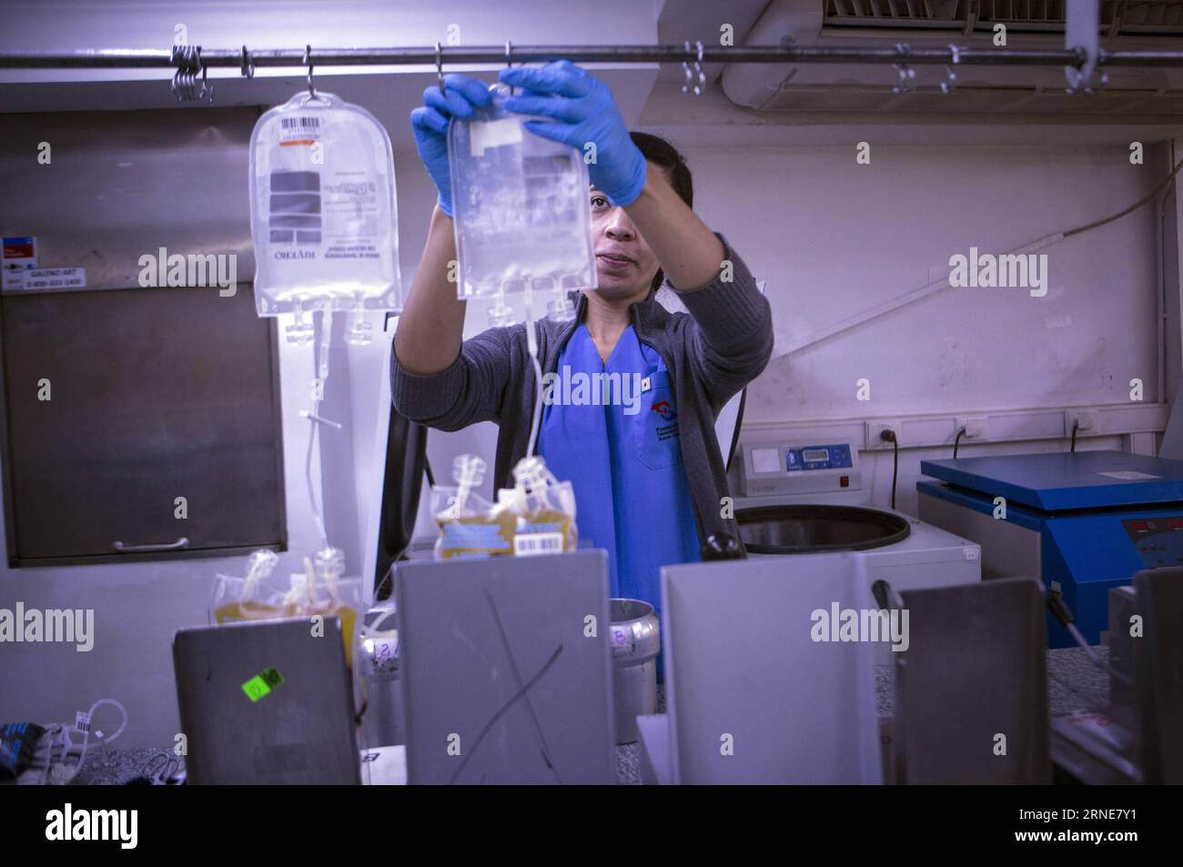 (160614) -- BUENOS AIRES, 10. Juni 2016 -- Bild aufgenommen am 10. Juni 2016 zeigt einen Techniker in einem Labor, der einen Beutel vorbereitet, um Plasma und Blutplättchen durch Zentrifugation im Labor der Buenos Aires Hemocentro (Blood Center) Foundation in Buenos Aires, der Hauptstadt Argentiniens, zu trennen. Der Weltblutspendertag wird jedes Jahr am 14. Juni gefeiert. Im Jahr 2016, das Thema der Kampagne ist Blut verbindet uns alle , hat die Weltgesundheitsorganisation (WHO) auch den Slogan Share Life, Give Blood angenommen, um das Bewusstsein für die Bedeutung von Systemen der freiwilligen Spende als Mittel zur Förderung zu schärfen Stockfoto