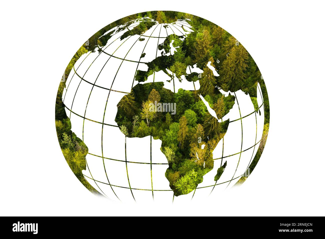 Baum in Form der Weltkarte. Grüne Weltkarte - Baum geformt von Weltkarte isoliert auf weißem Hintergrund. Stockfoto