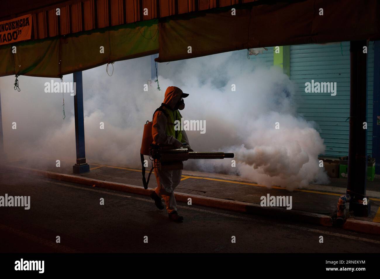 Guatemala Stadt, Guatemala. August 2023 31. Ein Stadtarbeiter entweiht nachts einen Markt im Kampf gegen die ägyptische Tigermücke (Aedes aegypti), die das Dengue-Virus überträgt. Die Regierung des Landes hat aufgrund der steigenden Zahl von Dengue-Fieber für die ersten drei Monate einen Gesundheitsnotstand ausgerufen. Quelle: Sandra Sebastian/dpa/Alamy Live News Stockfoto