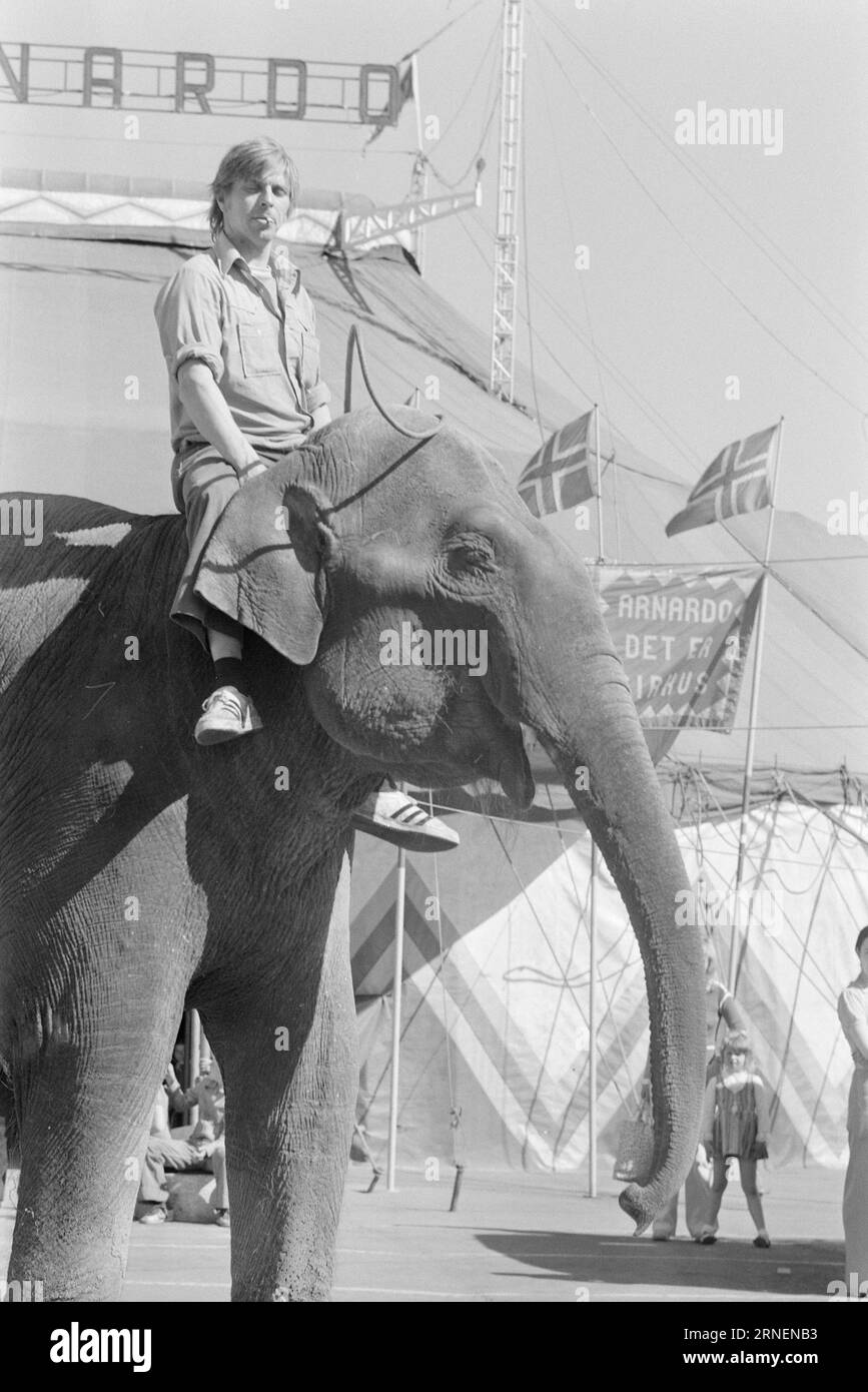 22.-4.-1974: Junior bei LineElephant Tamer Arild Arnardo – jetzt auch als Clown. Er hat die Nummer des weltberühmten „Linon“ mit großem Geschick übernommen. Foto: Ivar Aaserud / aktuell / NTB ***FOTO NICHT VERARBEITET*** dieser Text wurde automatisch übersetzt! Stockfoto