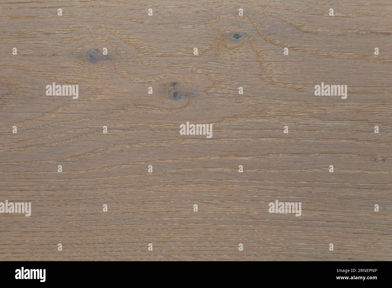 Textur von Holz Eiche california Landhaus gemusterten Dielen Parkett für Boden und Wände Probe gemacht Stockfoto