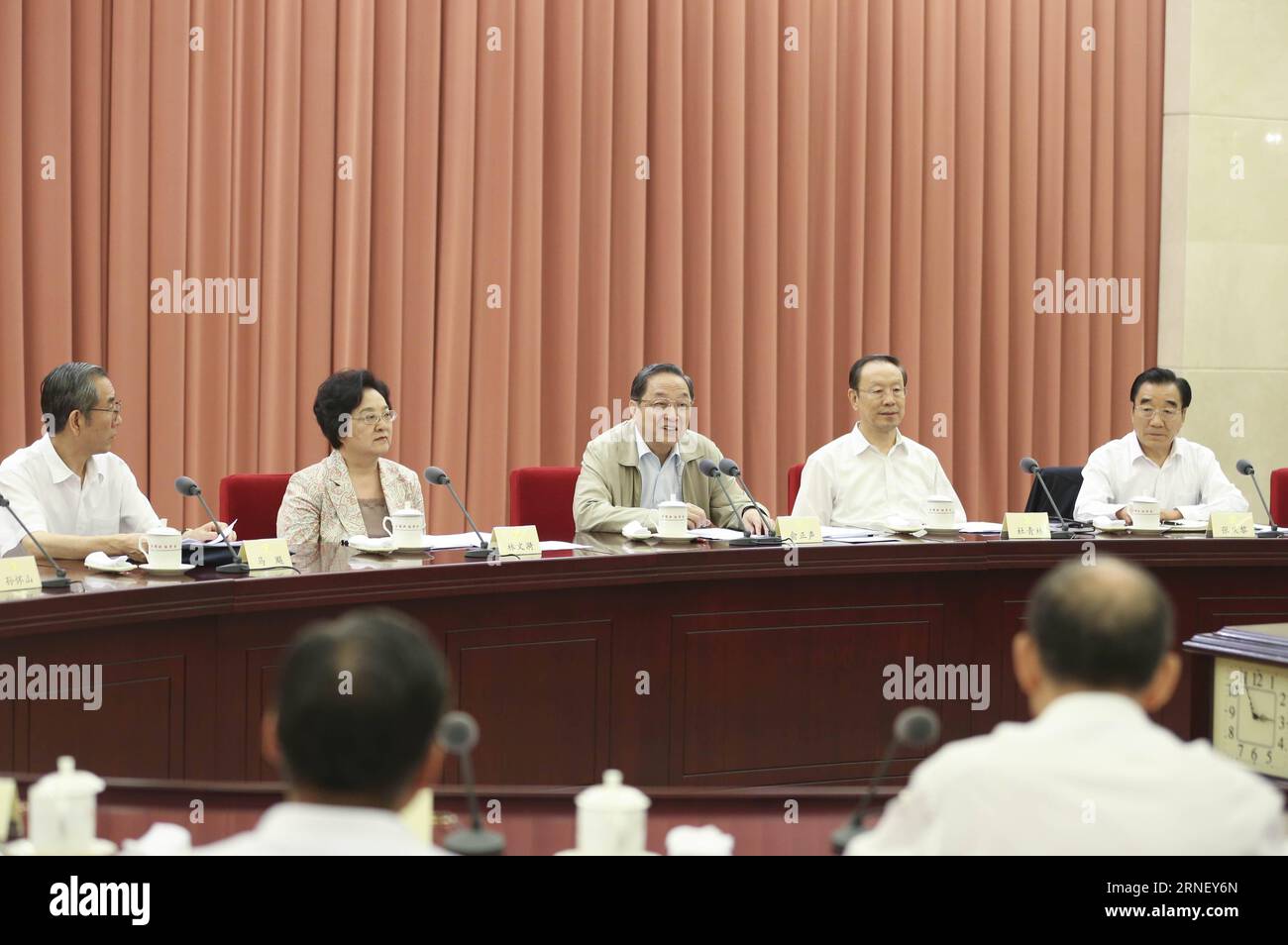 (160707) -- PEKING, 7. Juli 2016 -- Yu Zhengsheng (C, Back), Vorsitzender des Nationalen Komitees der Politischen Konsultativkonferenz des chinesischen Volkes (CPPCC), leitet ein zweiwöchentliches Konsultationssymposium über die Verwendung von Halmen zur Verringerung des Umweltdrucks von Halmen, die zurückgeworfen oder verbrannt werden, in Peking, der Hauptstadt Chinas, am 7. Juli 2016. ) (wx) CHINA-BEIJING-YU ZHENGSHENG-SYMPOSIUM (CN) DingxLin PUBLICATIONxNOTxINxCHN 160707 Peking 7. Juli 2016 Yu Zheng Sheng C Back Vorsitzender des Nationalkomitees der chinesischen Prominenten S politische Beratungskonferenz CPPCC Vorsitzender Ove Stockfoto