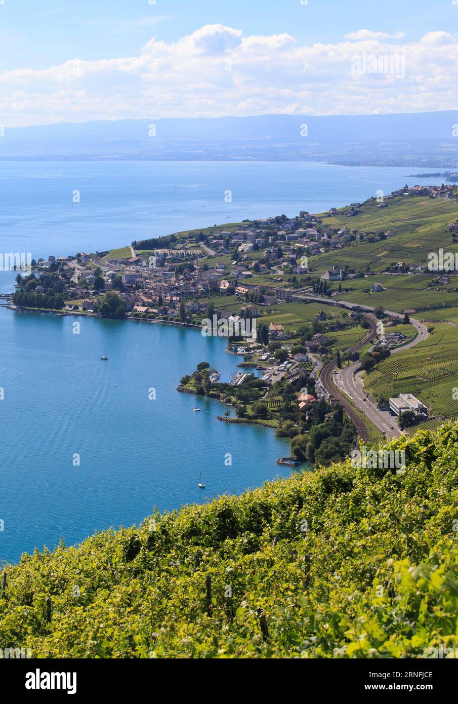 Schweiz lavaux sumer Fotos und Bildmaterial in hoher Auflösung Alamy