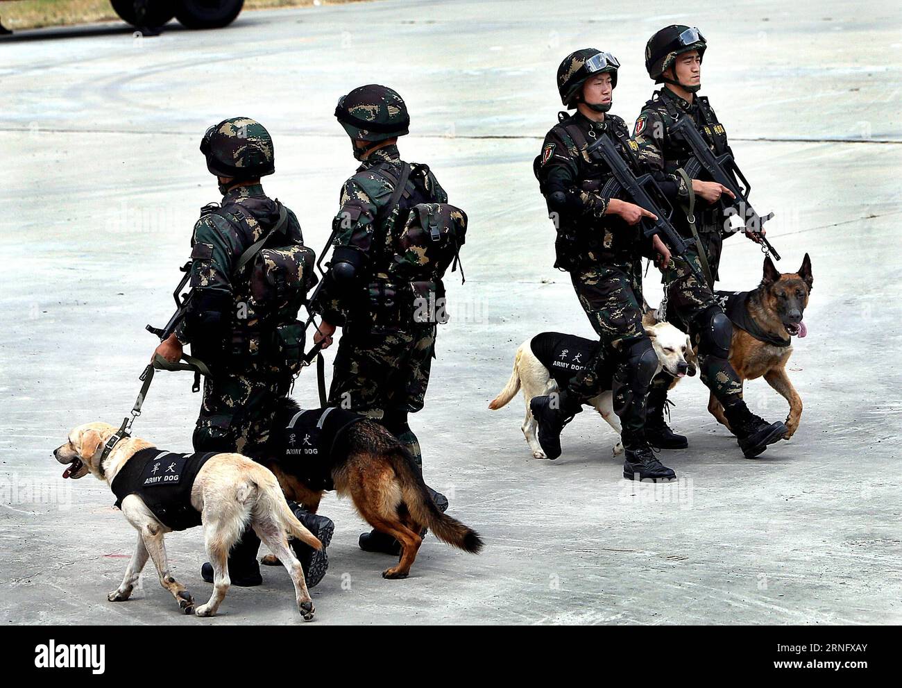 (160826) -- SHANGHAI, 26. August 2016 -- Soldaten patrouillieren mit Hunden während einer Anti-Terror-Übung in Shanghai, Ostchina, 26. August 2016. ) (Yxb) CHINA-SHANGHAI-ANTI-TERROR-BOHRER (CN) FanxJun PUBLICATIONxNOTxINxCHN 160826 Shanghai Aug 26 2016 Soldaten Patrouille mit Hunden während der Anti-Terror-Bohrer in Shanghai Ostchina Aug 26 2016 yxb China Shanghai Anti-Terror-Bohrer CN FanxJun PUBLICATIONxNOTxINxCHN Stockfoto