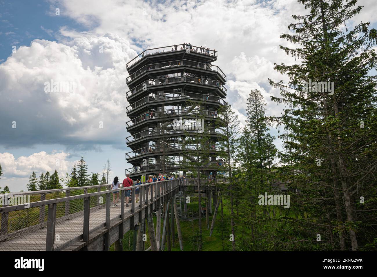 Hoher hölzerner Aussichtsturm am Treetop Walk Bachledka im Tatra-Gebirge der Slowakei. Stockfoto