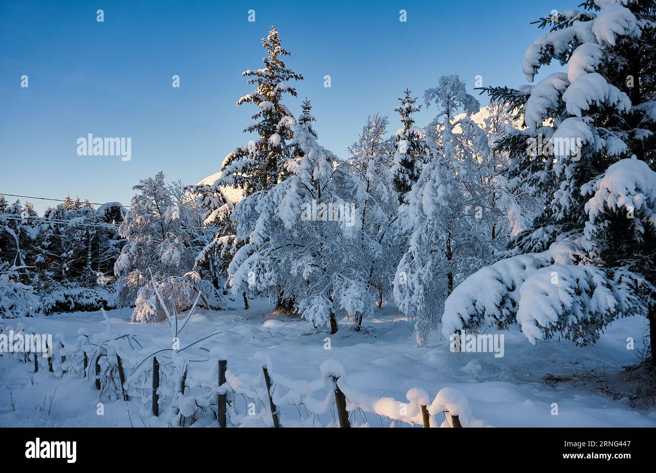 Winterlandschaft auf Godøy, Ålesund, Norwegen Stockfoto