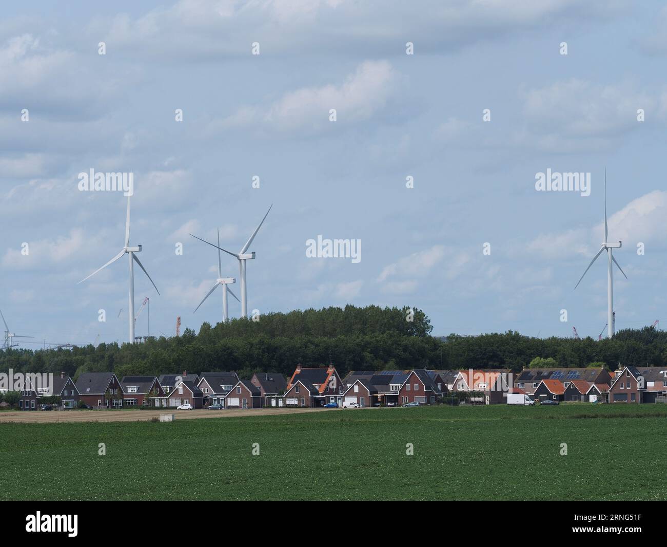 Die Stadt Borssele, Zeeland, Niederlande mit riesigen Windturbinen, die über den Häusern ragen. Stockfoto