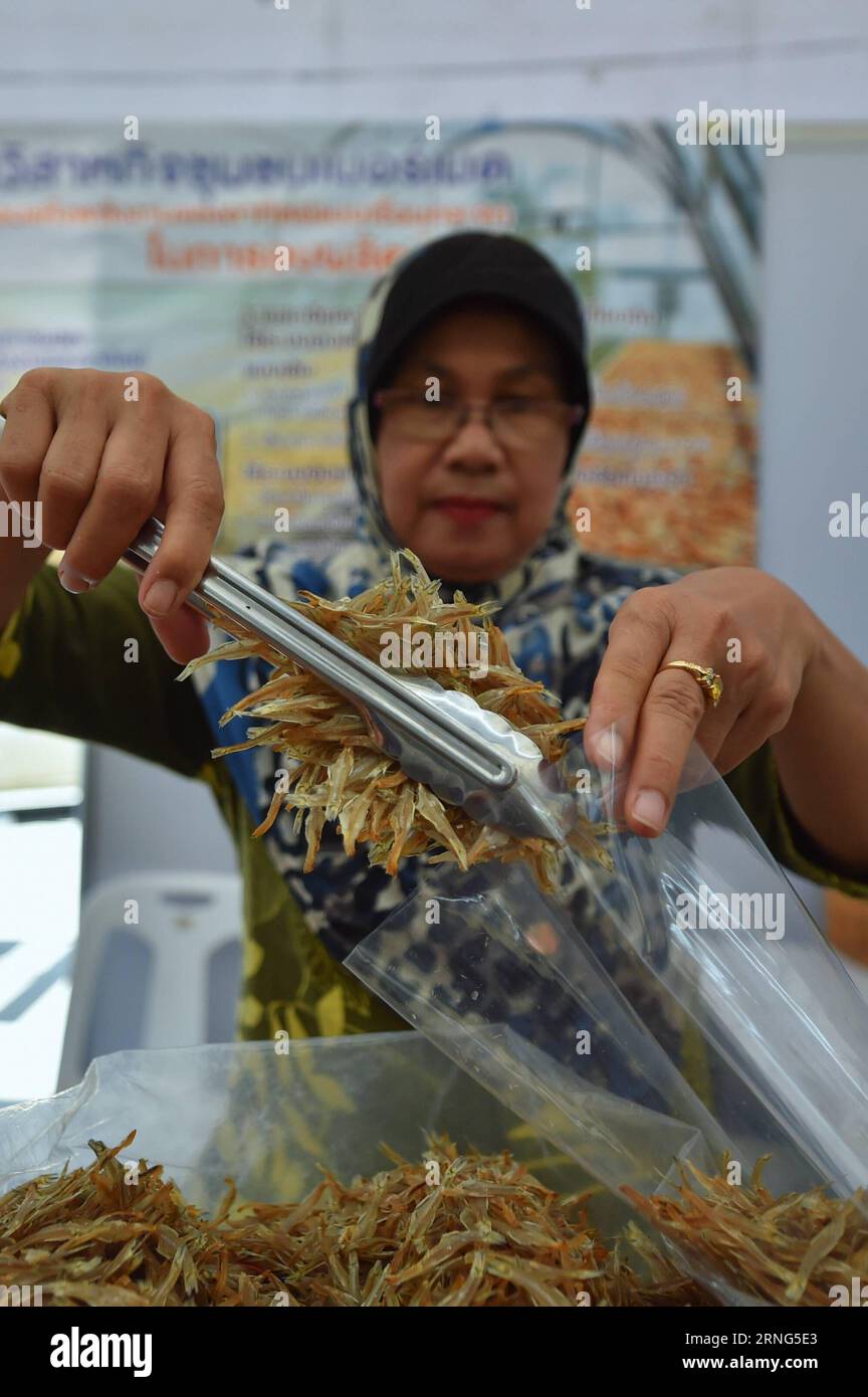 (160906) -- NONTHABURI, 6. September 2016 -- Ein Ladenbesitzer packt getrockneten Fisch während einer Messe im zentralen thailändischen Nonthaburi, am 6. September 2016. In der Nähe von Bangkok findet eine Messe mit Produkten aus Yala, Pattani, Narathiwat und Songkhla statt, die ein Versuch der thailändischen Regierung ist, Produkte aus diesen Provinzen zu fördern, die im letzten Jahrzehnt von Explosionen und Aufständischen heimgesucht wurden. ) (lr) THAILAND-NONTHABURI-SOUTHERN PROVINCES-PRODUCT-TRADE FAIR LixMangmang PUBLICATIONxNOTxINxCHN 160906 Nonthaburi Sept 6 2016 A Shop Owner Packs getrocknete Fische während einer Messe im zentralthailändischen Land S Non Stockfoto