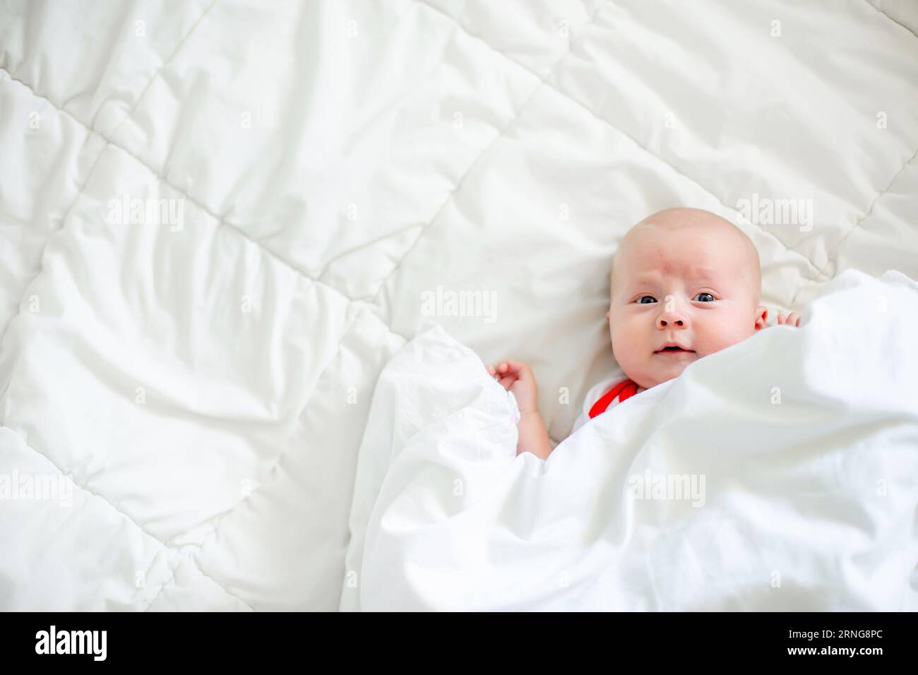 Babypflege, die Gefahr, mit den Eltern im Bett zu schlafen. Baby unter schwerer weißer Decke Stockfoto
