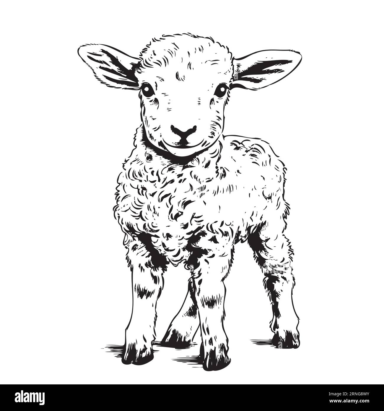 Bauernhof niedliches Lamm stehend Hand gezeichnete Skizze Vektor Illustration Tiere Stock Vektor