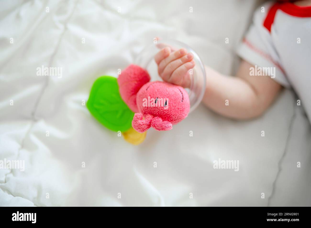 Das Rasseln in den Händen eines Neugeborenen. Der erste Versuch, ein Spielzeug in einem Baby zu halten Stockfoto