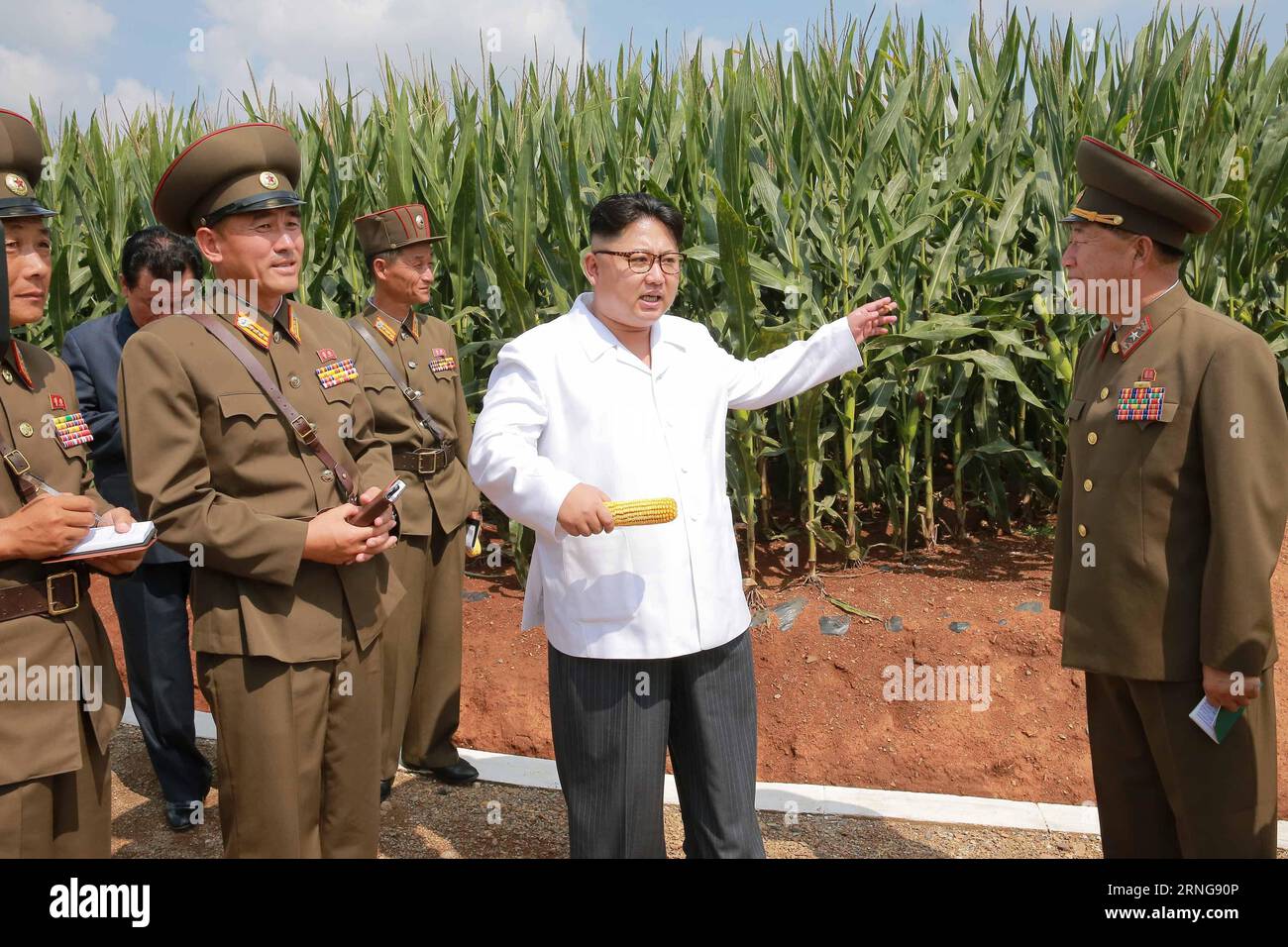 (160913) -- PJÖNGJANG, 13. September 2016 -- Foto der Koreanischen Zentralnachrichtenagentur () vom 13. September 2016 zeigt den Spitzenführer der Demokratischen Volksrepublik Korea (DVRK) Kim Jong UN (2. R), der vor kurzem der Farm Nr. 1116 unter dem KPA-Referat 810 in der DVRK Feldleitung gegeben hat. Kim Jong UN besuchte die Versuchs- und Anbauflächen, das Gewächshaus und andere Teile der Farm, um mehr über ihre Saatgutproduktion zu erfahren. Er gab dem Betrieb wertvolle Anweisungen und nannte den neuen Maisstamm Phyongok 9. )(YK) DVRK-FARM-KIM JONG UN-FIELD GUIDANCE KCNA PUBLICATIONXNOTXINXCHN Stockfoto