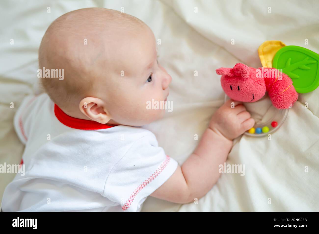Das Baby spielt mit einem Spielzeug. Das erste Rasseln eines 2 Monate alten Kindes. Kindliche Entwicklung Stockfoto
